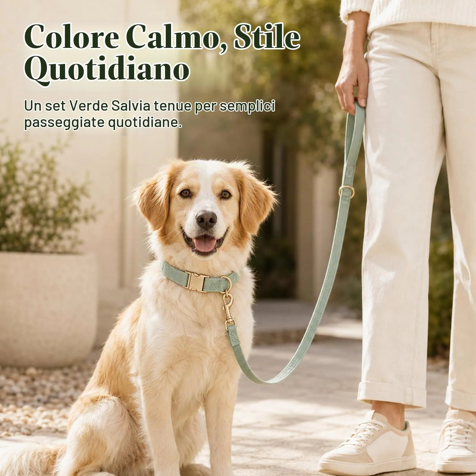 YUDOTE Set di Collare e Guinzaglio per Cani Piccolo, Morbido Collare e Guinzaglio in Corduroy Non Irritante Combinazione Abbinata per Passeggiate Quotidiane, Verde Salvia - immagine 2