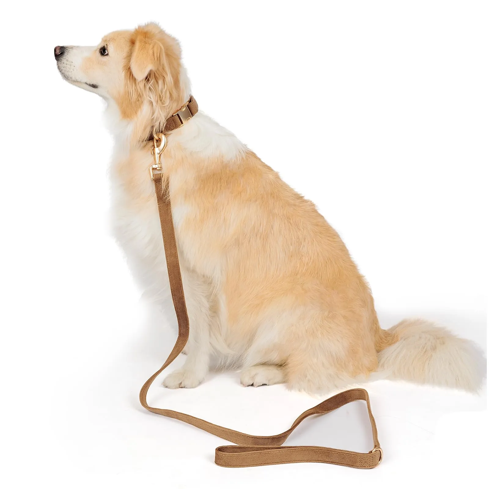 YUDOTE Set di Collare e Guinzaglio per Cani Grande, Morbido Collare e Guinzaglio in Corduroy Non Irritante Combinazione Abbinata per Passeggiate Quotidiane, Marrone - immagine 3