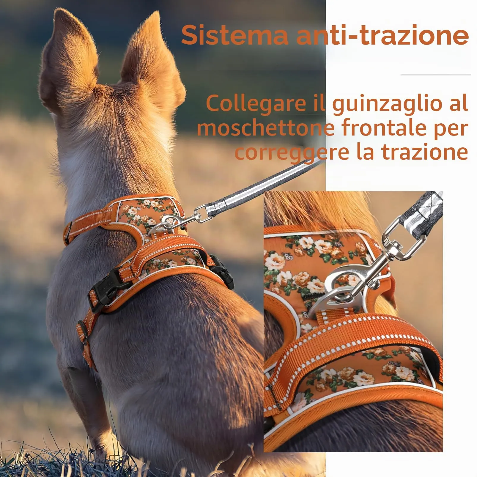 HEELE Pettorina Cane con Motivo Stampato, Riflettente Pettorina Addestramento Cani Anti Tiro con 2 Ganci in Metallo + Comodo Maniglia, Gilet per Cani Regolabile per Camminare, Fiori-Arancione, M - immagine 6
