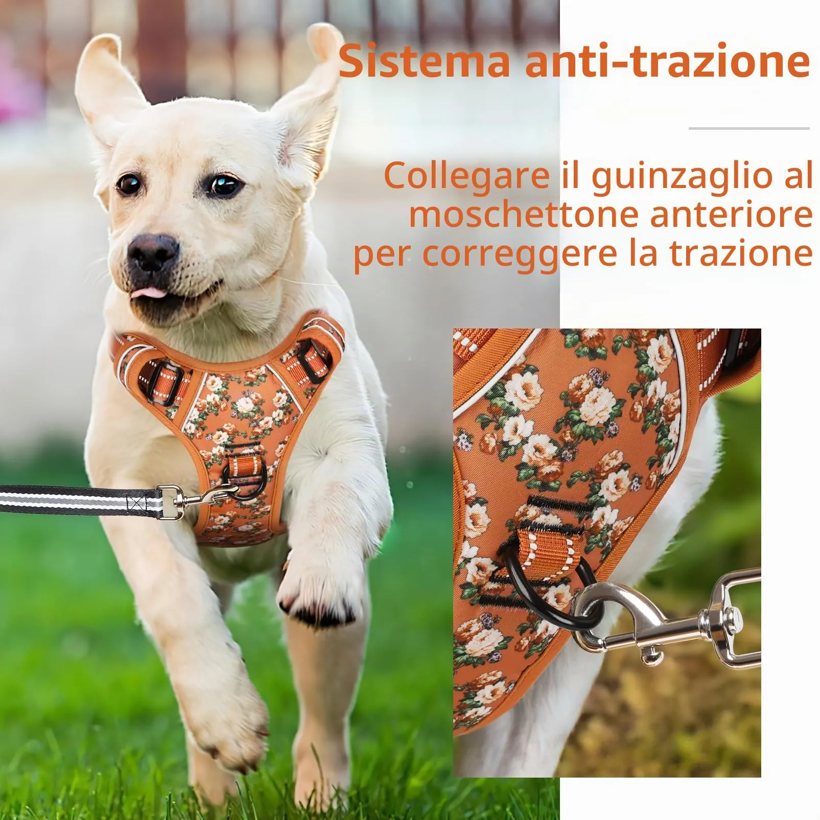 HEELE Pettorina Cane con Motivo Stampato, Riflettente Pettorina Addestramento Cani Anti Tiro con 2 Ganci in Metallo + Comodo Maniglia, Gilet per Cani Regolabile per Camminare, Fiori-Arancione, XL - immagine 6
