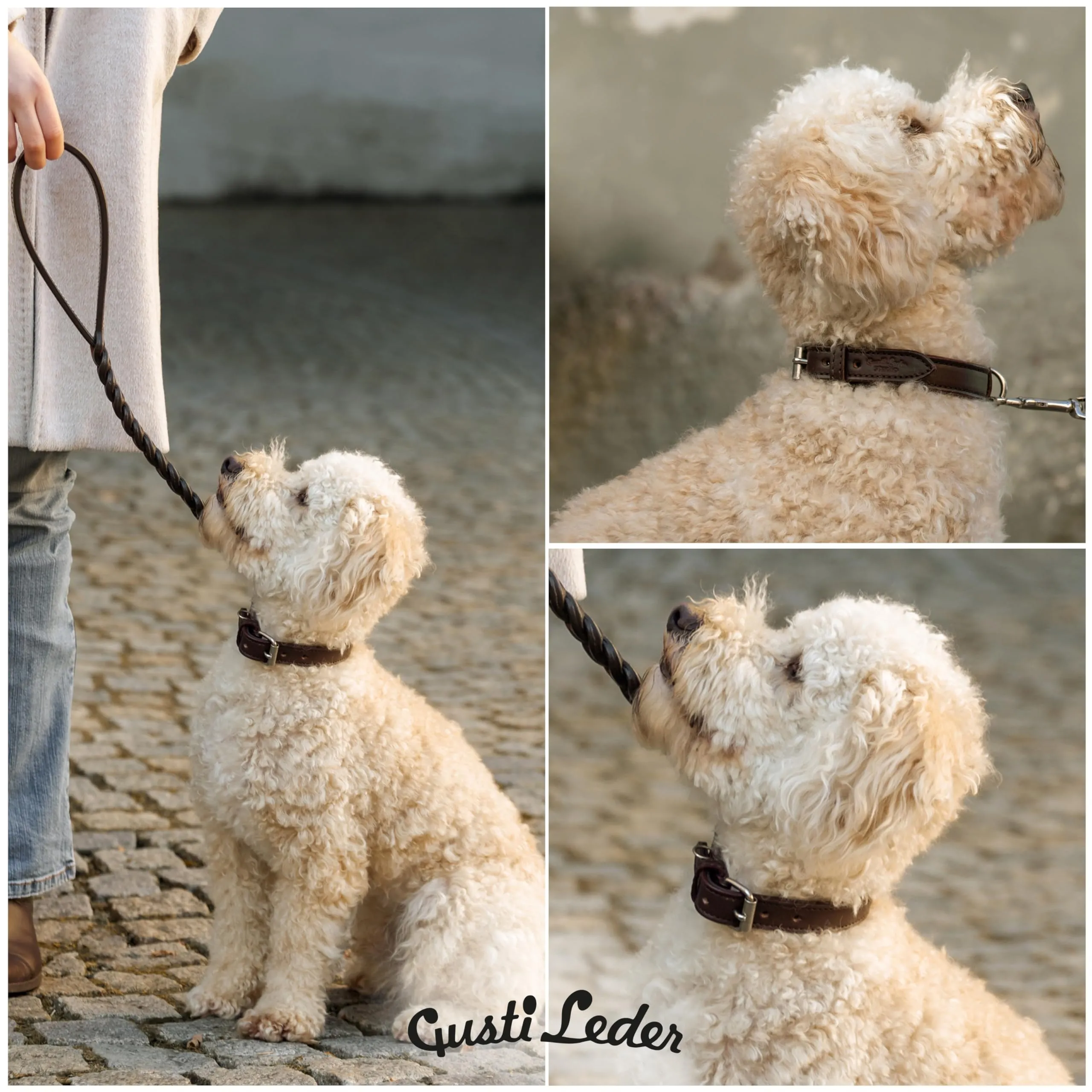 Gusti Jacky - Collare in pelle per cani a quattro zampe, taglia S, marrone scuro - immagine 4