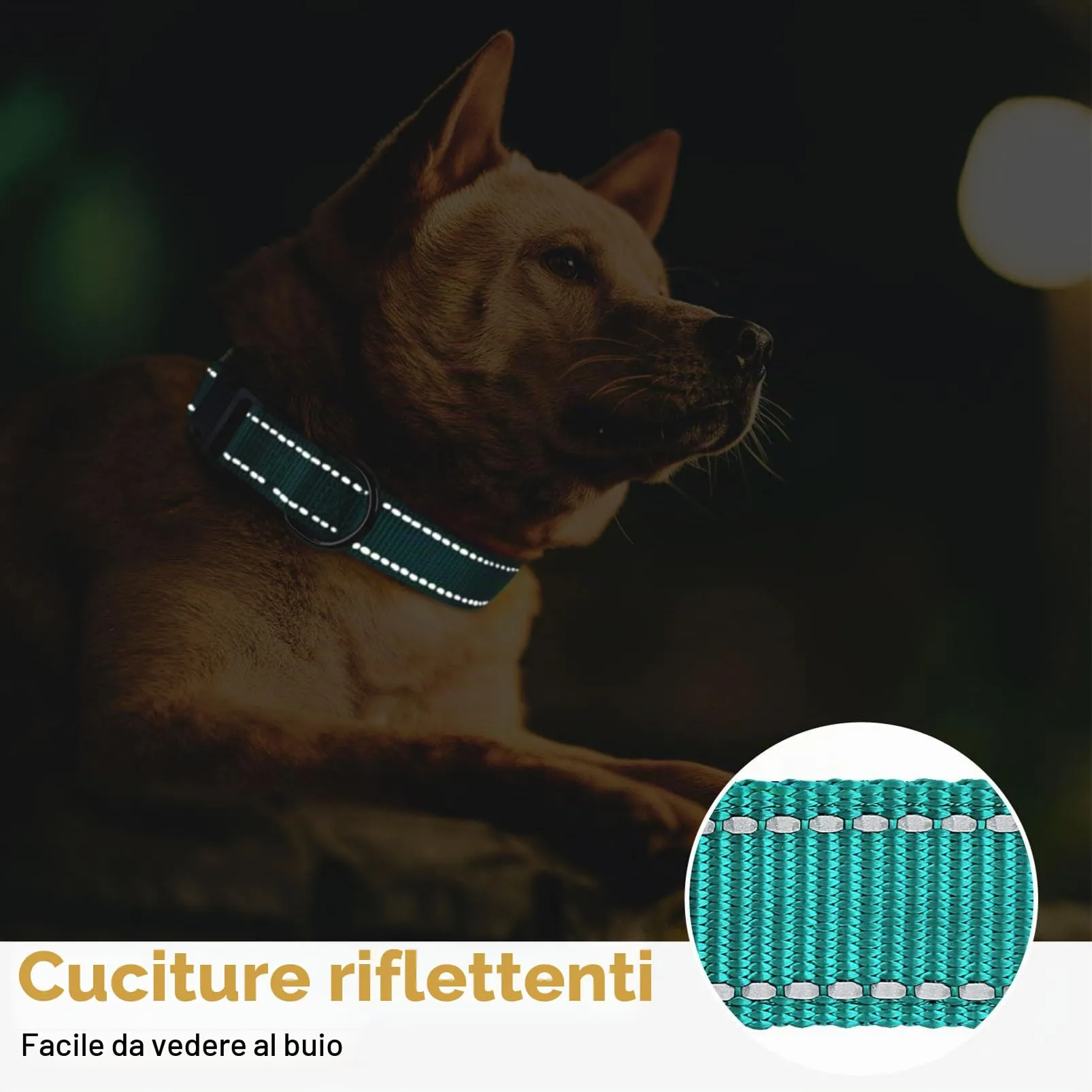 HEELE Collare per Cani, Collare Cane Riflettente Imbottito Nylon Regolabile Traspirante Collari per Cani di Taglia Media, Turchese, M(34-52cm) - immagine 7