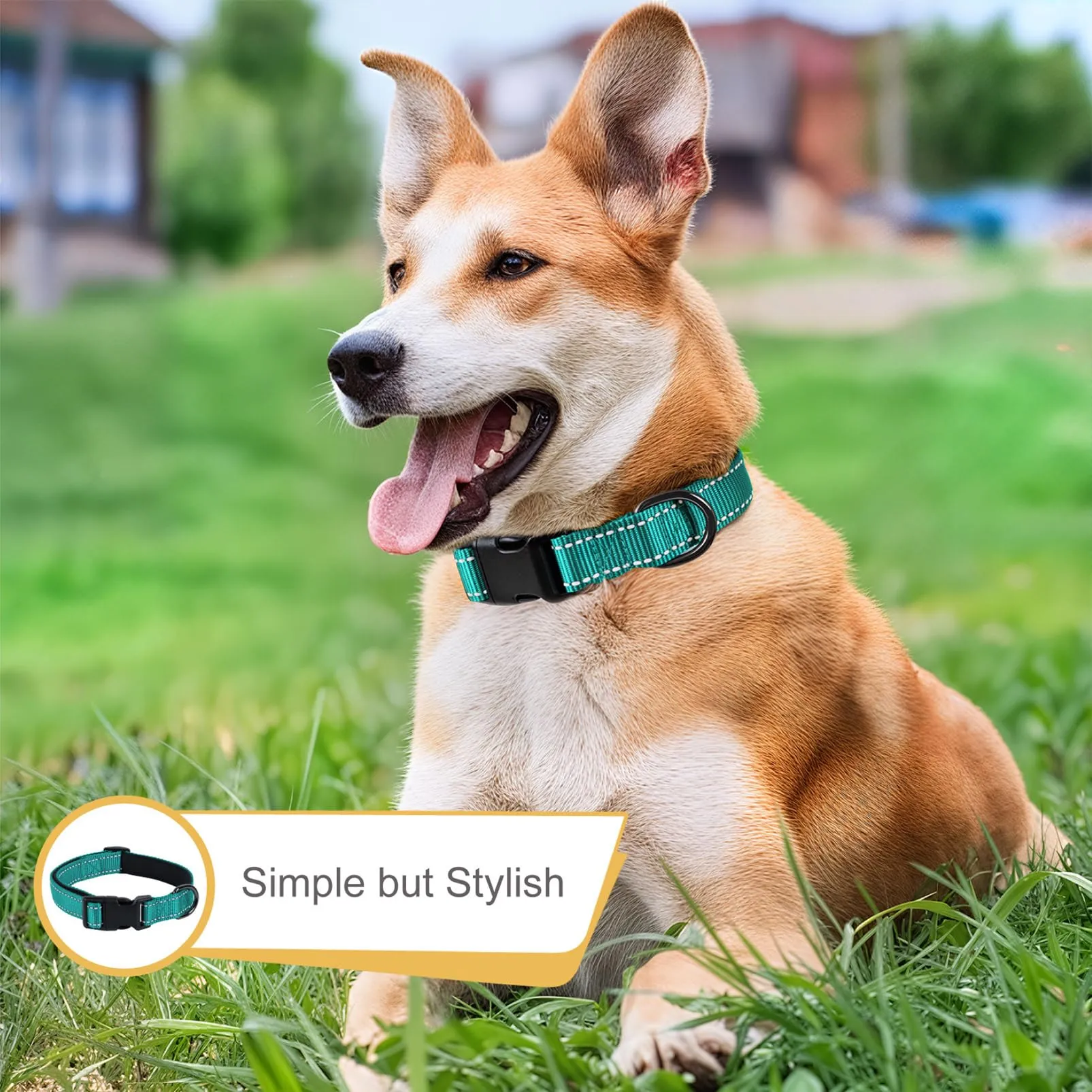 HEELE Collare per Cani, Collare Cane Riflettente Imbottito Nylon Regolabile Traspirante Collari per Cani, Turchese, XS(20-30cm) - immagine 4