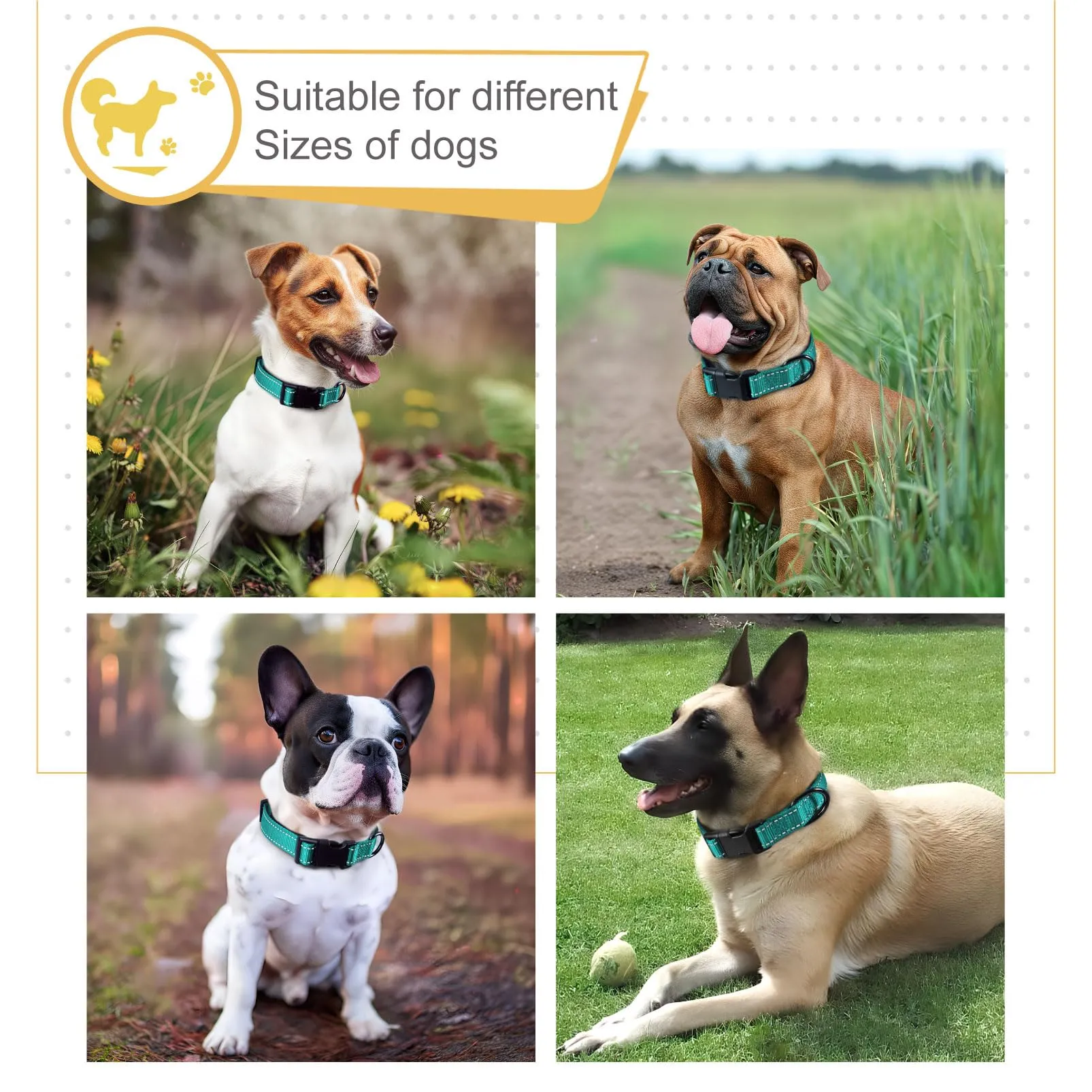 HEELE Collare per Cani, Collare Cane Riflettente Imbottito Nylon Regolabile Traspirante Collari per Cani, Turchese, XS(20-30cm) - immagine 5