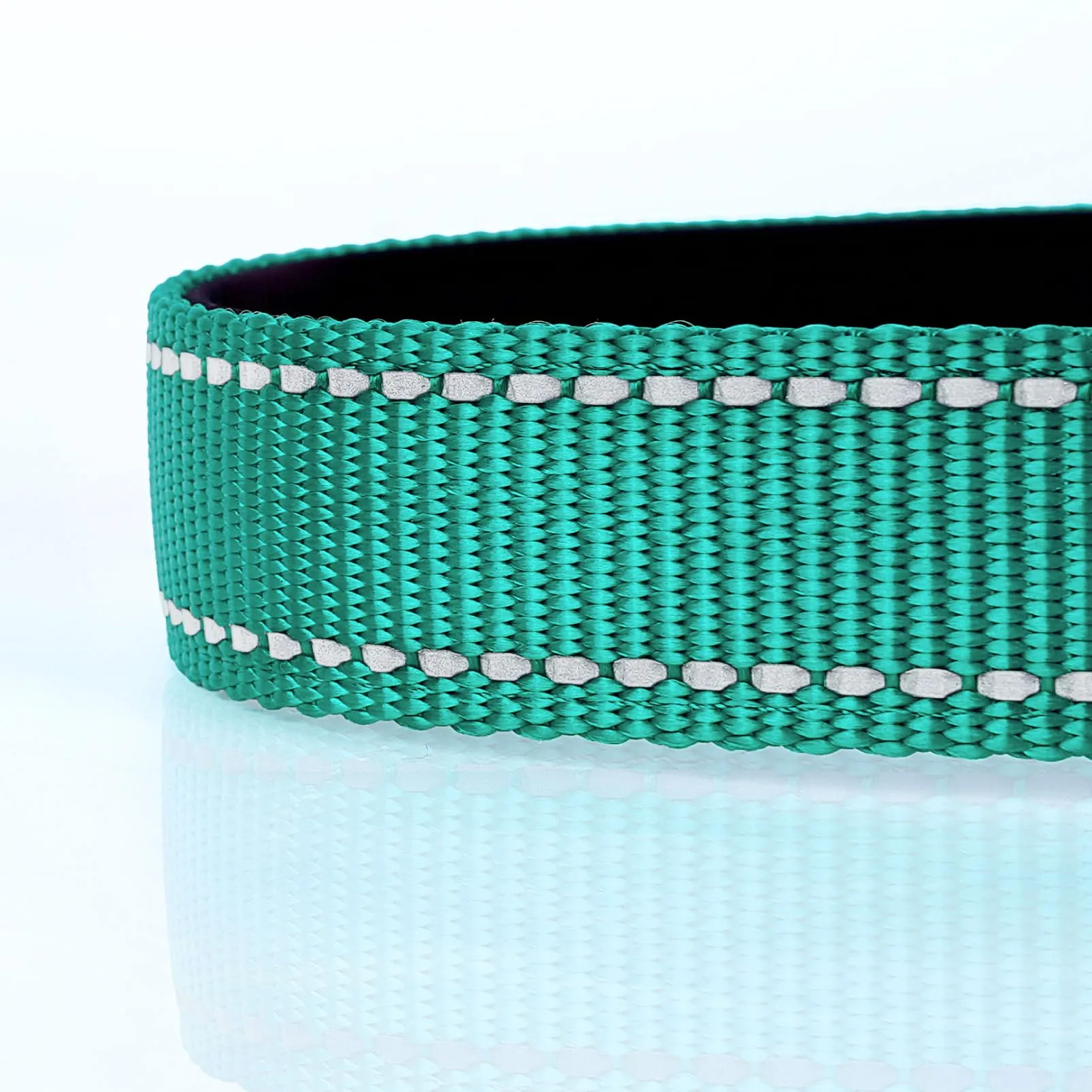 HEELE Collare per Cani, Collare Cane Riflettente Imbottito Nylon Regolabile Traspirante Collari per Cani, Turchese, XS(20-30cm) - immagine 9