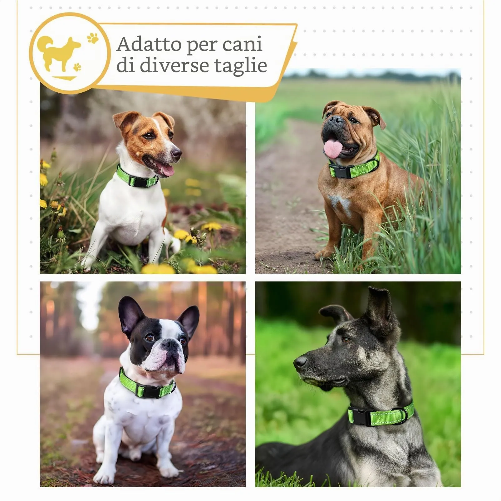 HEELE Collare per Cani, Collare Cane Riflettente Imbottito Nylon Regolabile Traspirante Collari per Cani, Erba Verde, XS(20-30cm) - immagine 5