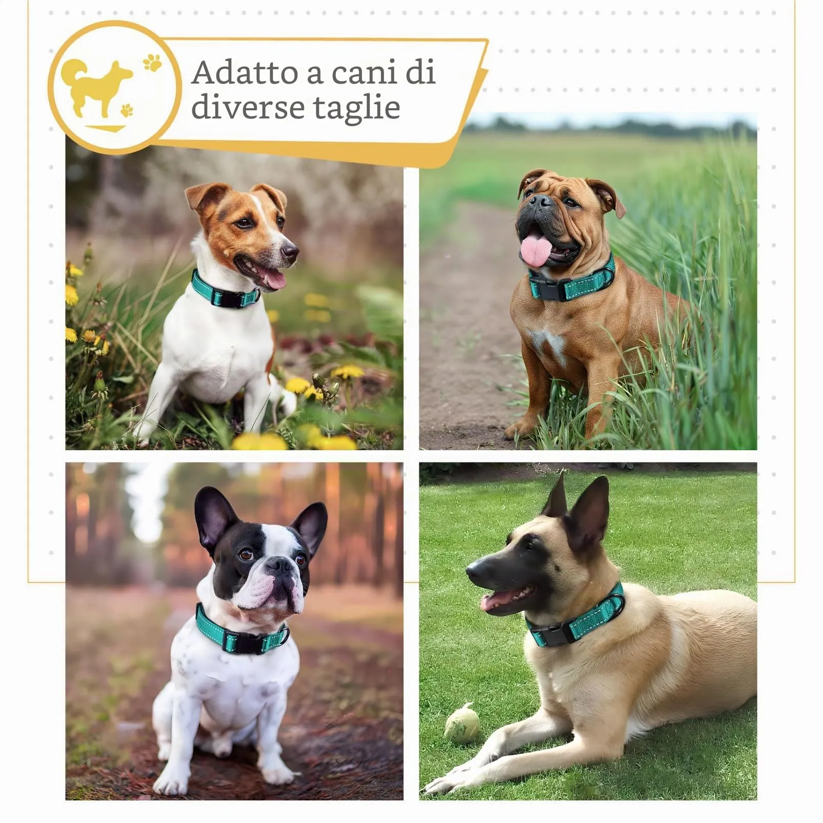 HEELE Collare per Cani, Collare Cane Riflettente Imbottito Nylon Regolabile Traspirante Collari per Cani, Turchese, S(26-38cm) - immagine 5