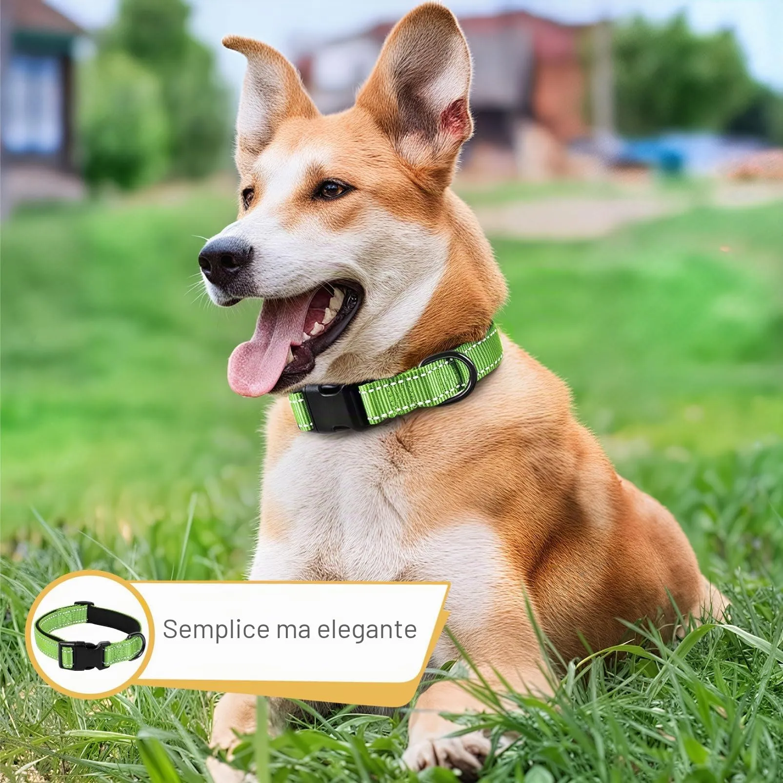 HEELE Collare per Cani, Collare Cane Riflettente Imbottito Nylon Regolabile Traspirante Collari per Cani di Taglia Media, Erba Verde, M(34-52cm) - immagine 4