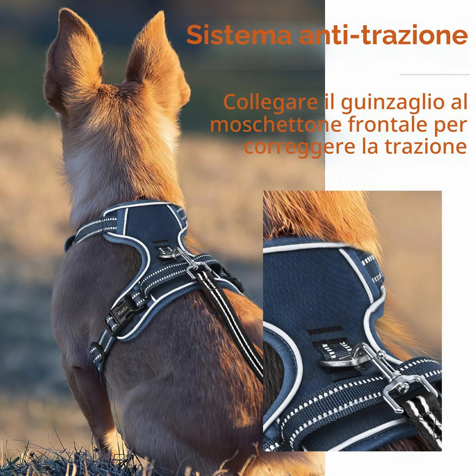 HEELE Pettorina Cane con Motivo Stampato, Riflettente Pettorina Addestramento Cani Anti Tiro con 2 Ganci in Metallo + Comodo Maniglia, Gilet per Cani Regolabile per Camminare, Blu Reale, XS - immagine 5