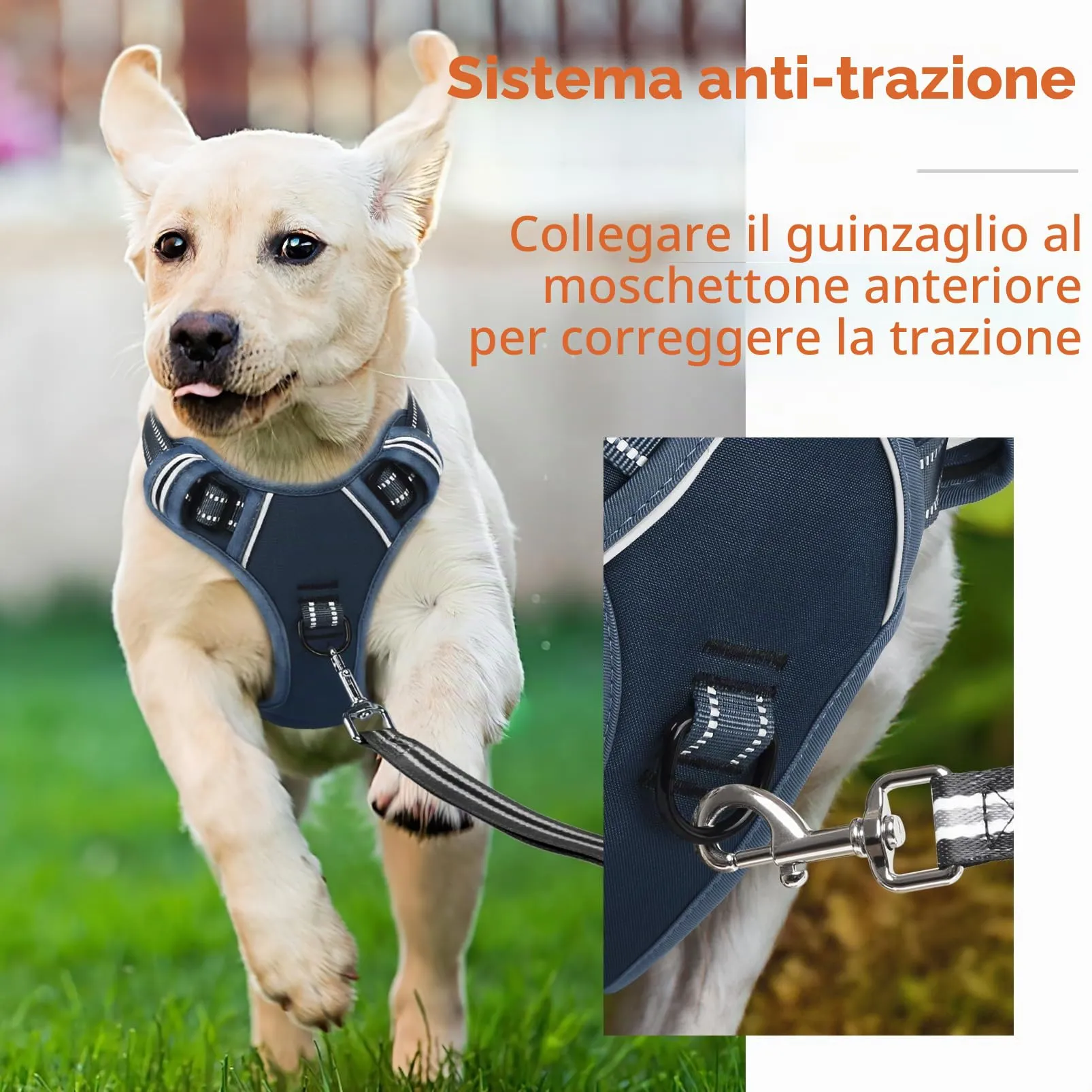 HEELE Pettorina Cane con Motivo Stampato, Riflettente Pettorina Addestramento Cani Anti Tiro con 2 Ganci in Metallo + Comodo Maniglia, Gilet per Cani Regolabile per Camminare, Blu Reale, XL - immagine 6