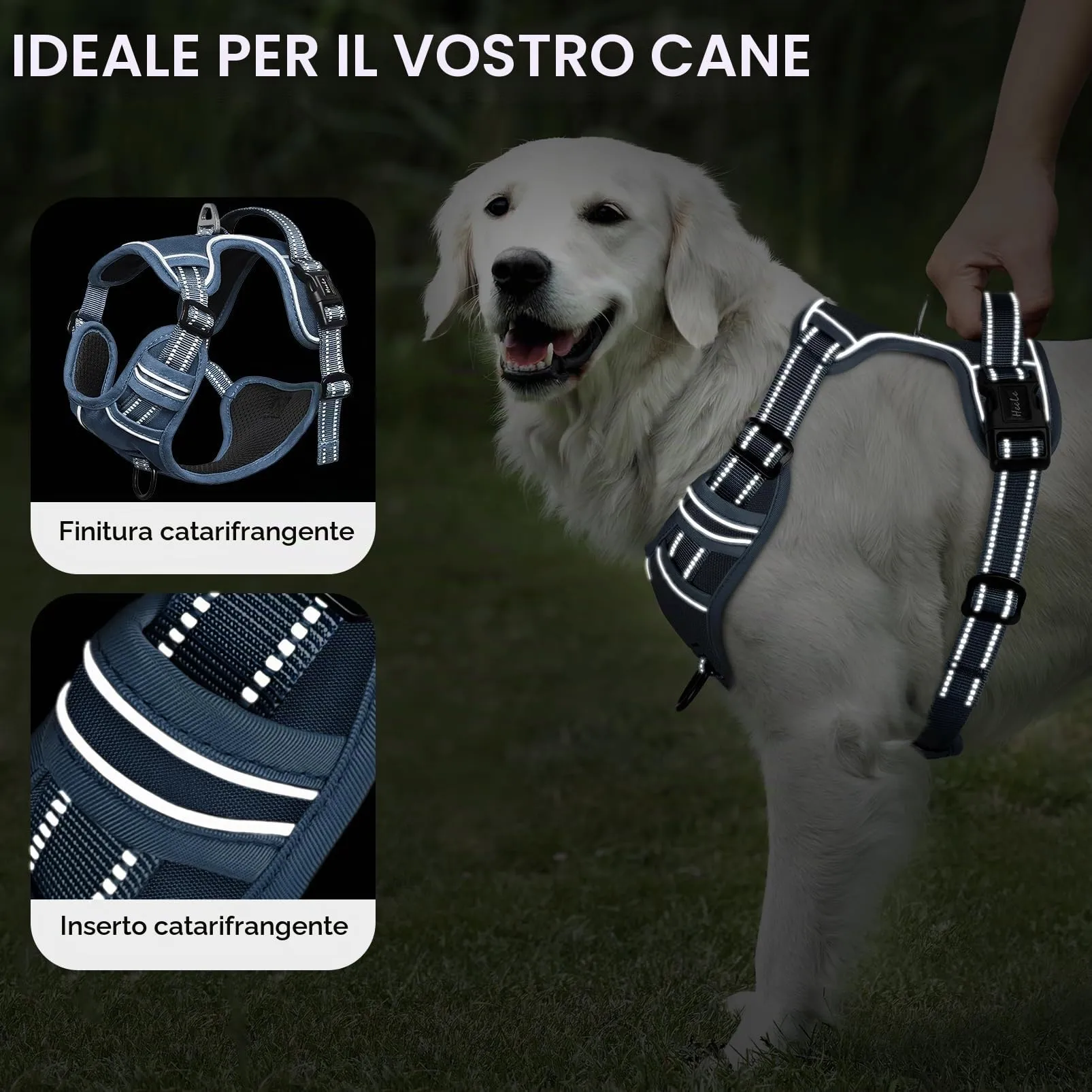 HEELE Pettorina Cane con Motivo Stampato, Riflettente Pettorina Addestramento Cani Anti Tiro con 2 Ganci in Metallo + Comodo Maniglia, Gilet per Cani Regolabile per Camminare, Blu Reale, L - immagine 5