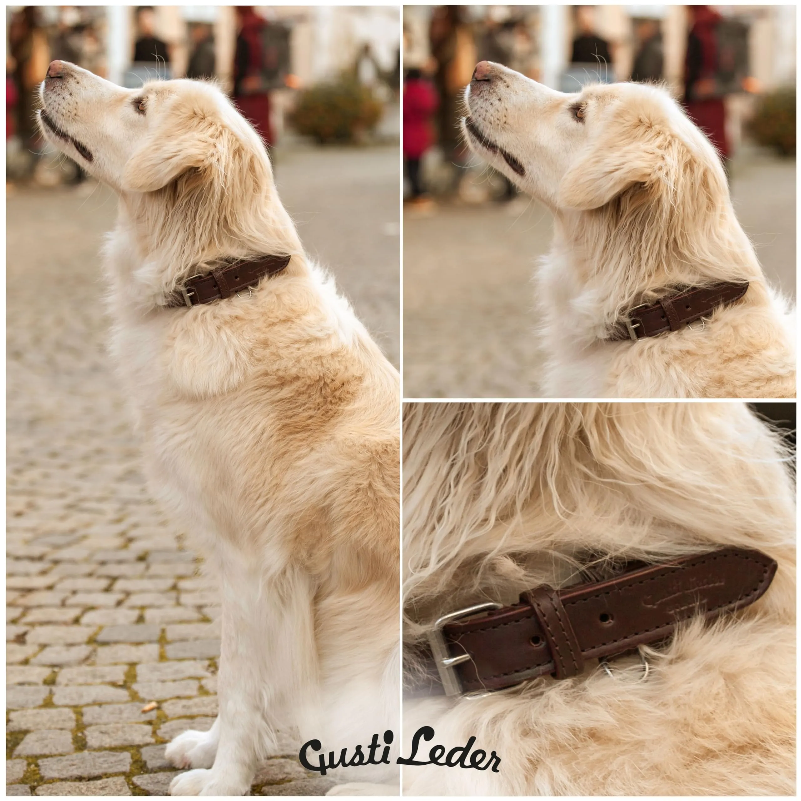 Gusti Jacky - Collare in pelle per cani e animali domestici, taglia M, marrone scuro - immagine 4