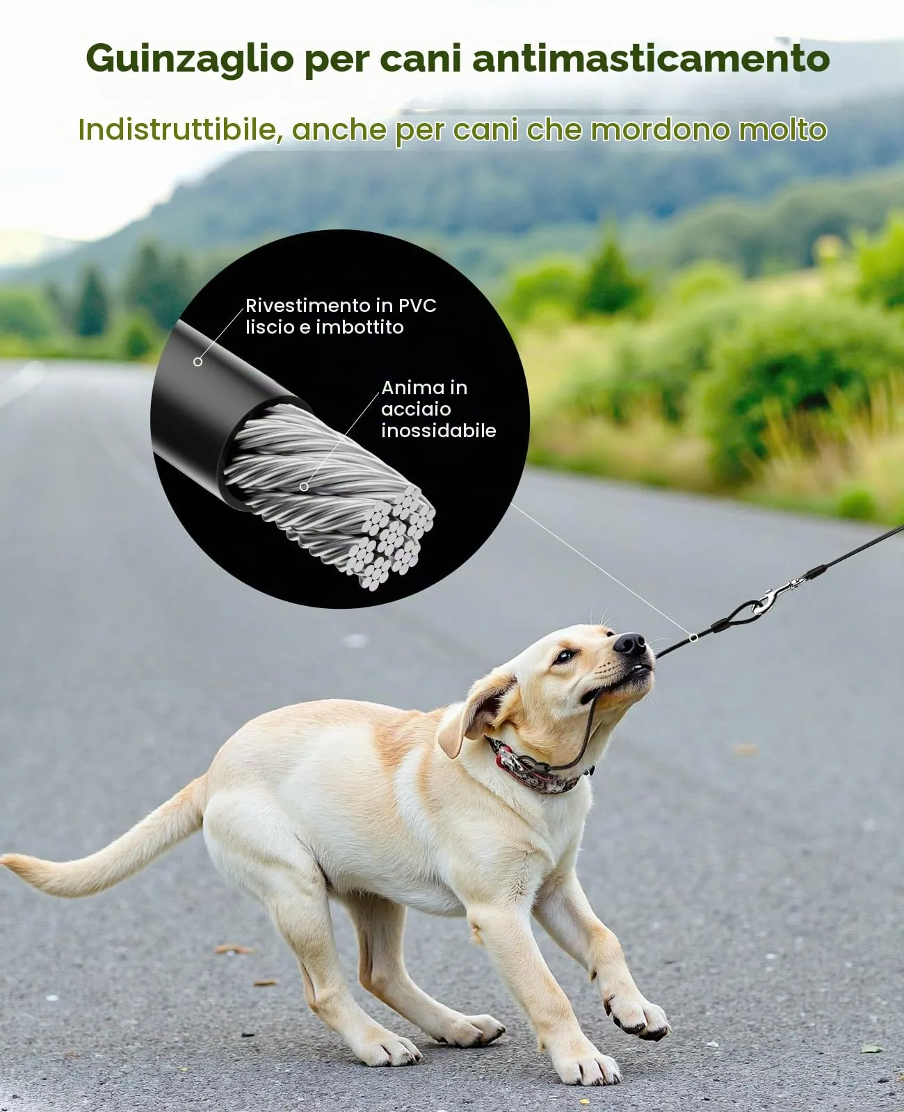 Pecute Guinzaglio per Cani Allungabile 8 metri con Corda Anti-morso da 46cm - immagine 3