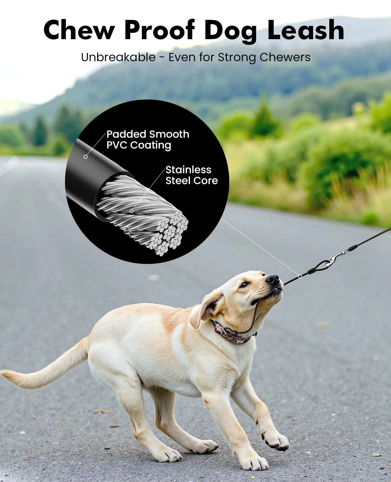 Pecute Guinzaglio per Cani Allungabile 8 metri con Corda Anti-morso da 46cm - immagine 3