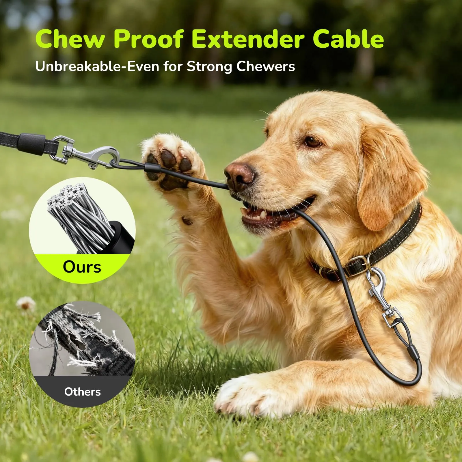 Pecute Guinzaglio per Cani Allungabile 5m (fino a 30kg), con Corda Anti-morso 46cm, 360° Anti-Tangle, Freno Rapido, Impugnatura Antiscivolo, con Sacchetti Igienici e Porta Sacchetti,Verde - immagine 3