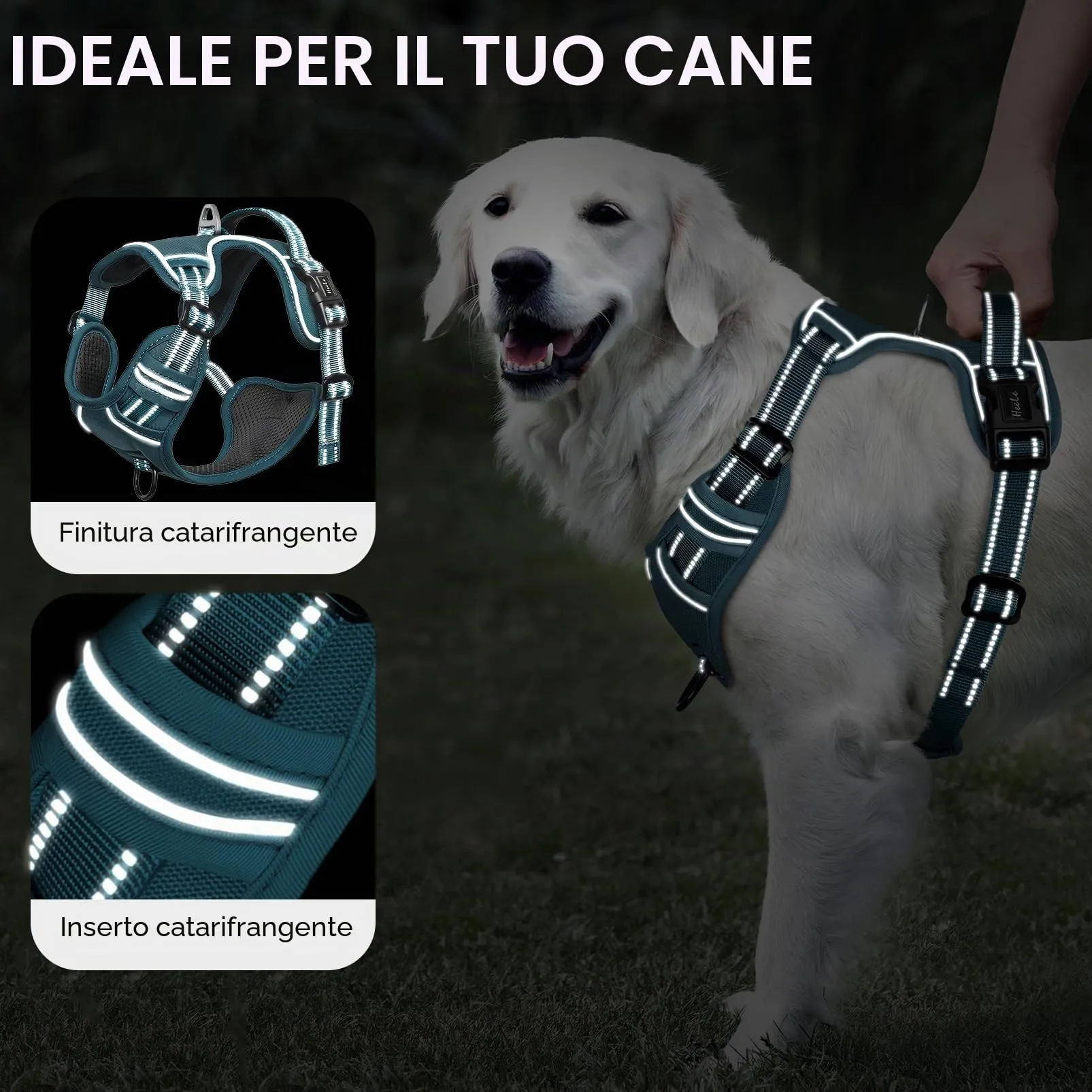 HEELE Pettorina Cane Taglia Grande Riflettente Pettorina Addestramento Cani Anti Tiro con 2 Ganci in Metallo + Comodo Maniglia, Gilet per Cani Regolabile per Camminare, Verde Nerastro, XL - immagine 3