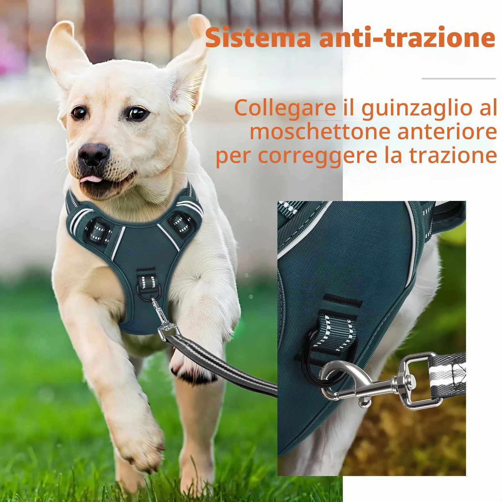 HEELE Pettorina Cane Taglia Grande Riflettente Pettorina Addestramento Cani Anti Tiro con 2 Ganci in Metallo + Comodo Maniglia, Gilet per Cani Regolabile per Camminare, Verde Nerastro, XL - immagine 5