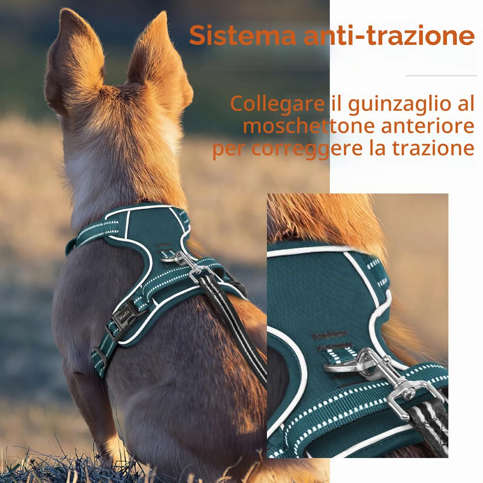 HEELE Pettorina Cane Taglia Grande Riflettente Pettorina Addestramento Cani Anti Tiro con 2 Ganci in Metallo + Comodo Maniglia, Gilet per Cani Regolabile per Camminare, Verde Nerastro, XL - immagine 6