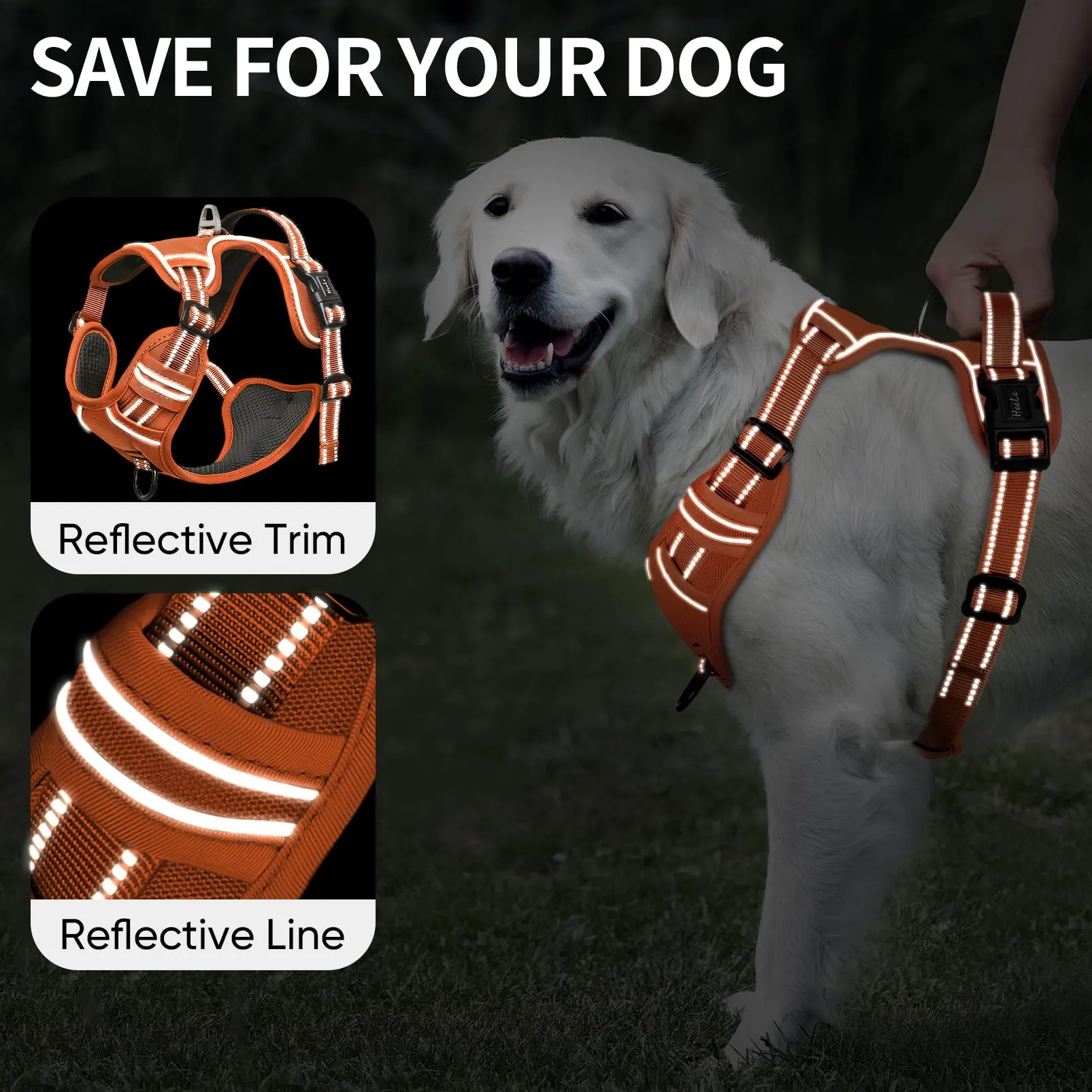 HEELE Pettorina Cane Taglia Piccola Riflettente Pettorina Addestramento Cani Anti Tiro con 2 Ganci in Metallo + Comodo Maniglia, Gilet per Cani Regolabile per Camminare, Zucca Arancione, S - immagine 3