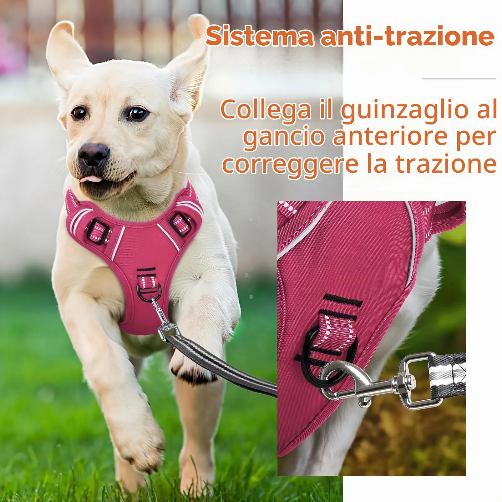 HEELE Pettorina Cane Taglia Media Riflettente Pettorina Addestramento Cani Anti Tiro con 2 Ganci in Metallo + Comodo Maniglia, Gilet per Cani Regolabile per Camminare, Rosa Rifiniture Abbinate, M - immagine 5