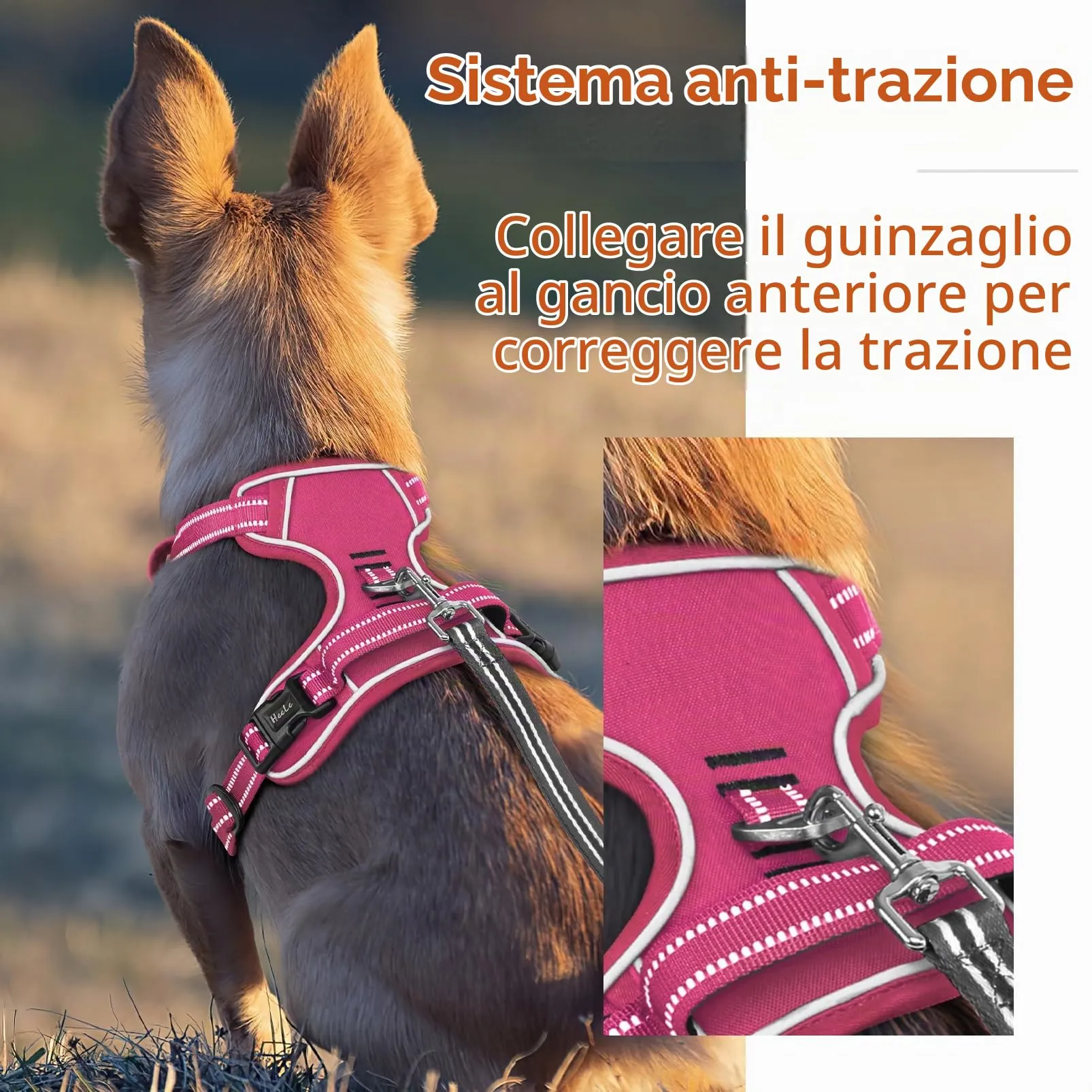 HEELE Pettorina Cane Taglia Media Riflettente Pettorina Addestramento Cani Anti Tiro con 2 Ganci in Metallo + Comodo Maniglia, Gilet per Cani Regolabile per Camminare, Rosa Rifiniture Abbinate, M - immagine 6
