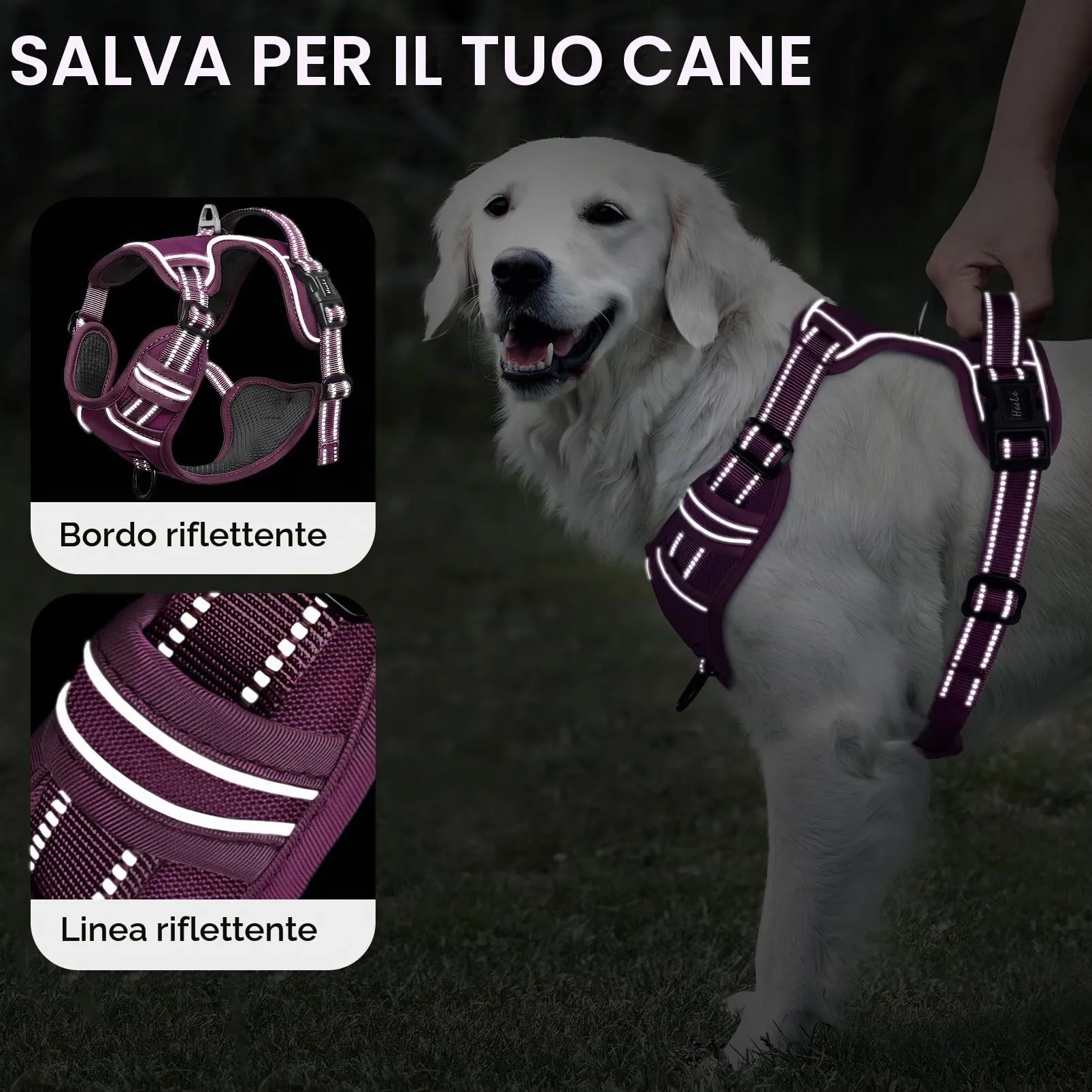 HEELE Pettorina Cane Taglia Media Riflettente Pettorina Addestramento Cani Anti Tiro con 2 Ganci in Metallo + Comodo Maniglia, Gilet per Cani Regolabile per Camminare, Viola Rifiniture Abbinate, M - immagine 3
