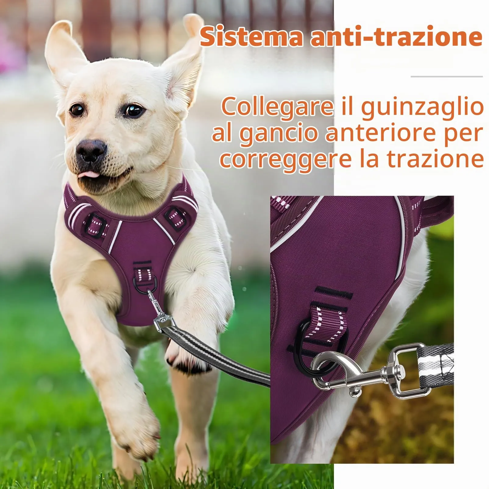 HEELE Pettorina Cane Taglia Media Riflettente Pettorina Addestramento Cani Anti Tiro con 2 Ganci in Metallo + Comodo Maniglia, Gilet per Cani Regolabile per Camminare, Viola Rifiniture Abbinate, M - immagine 5