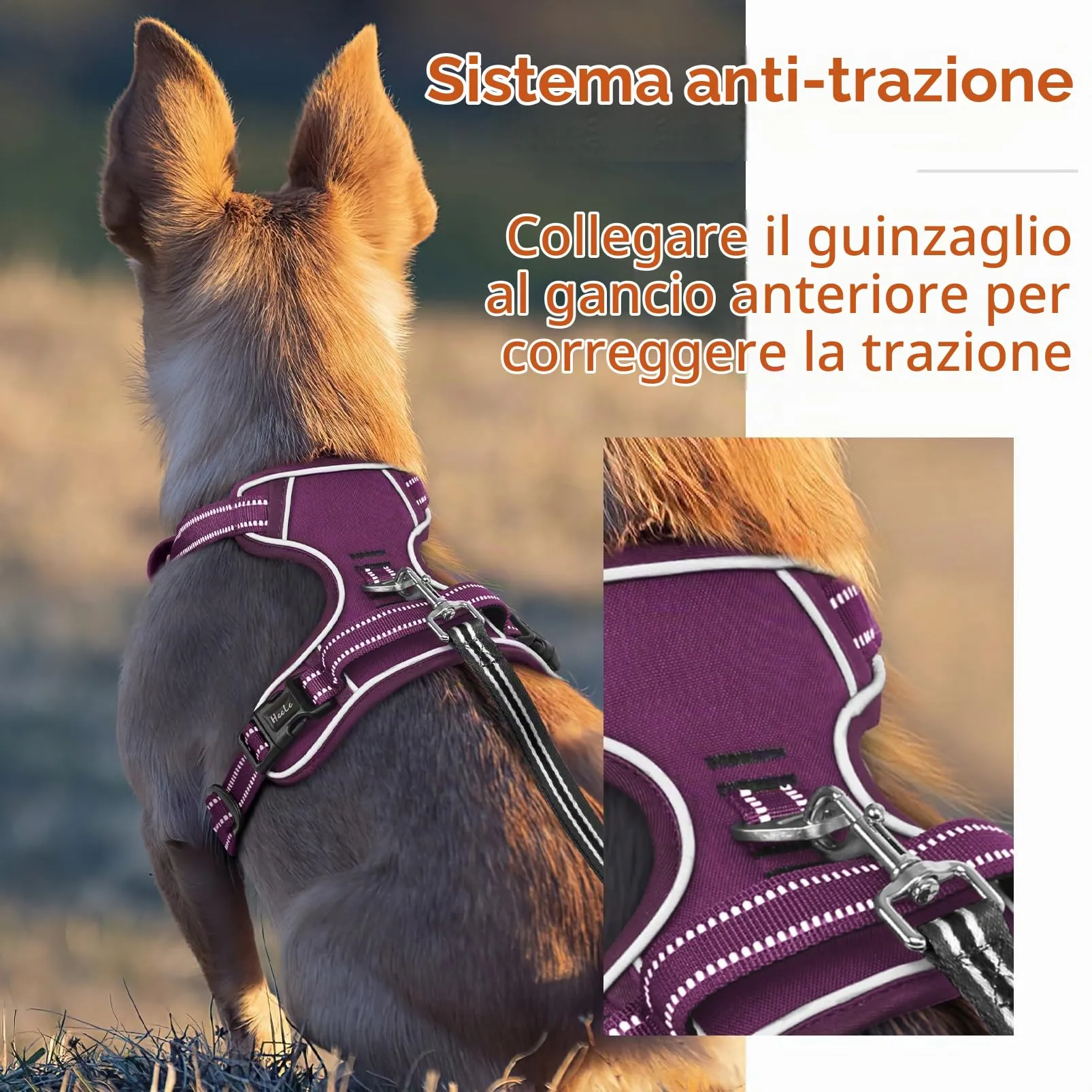 HEELE Pettorina Cane Taglia Media Riflettente Pettorina Addestramento Cani Anti Tiro con 2 Ganci in Metallo + Comodo Maniglia, Gilet per Cani Regolabile per Camminare, Viola Rifiniture Abbinate, M - immagine 6