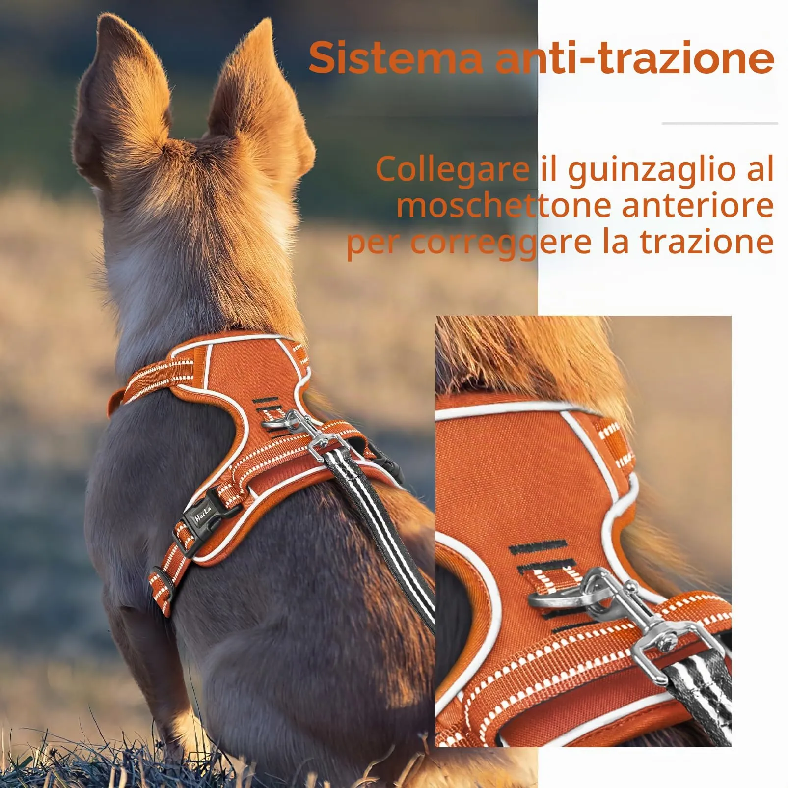 HEELE Pettorina Cane Taglia Media e Grande Riflettente Pettorina Addestramento Cani No Pull con 2 Ganci in Metallo + Comodo Maniglia, Gilet per Cani Regolabile per Camminare, Zucca Arancione, L - immagine 6