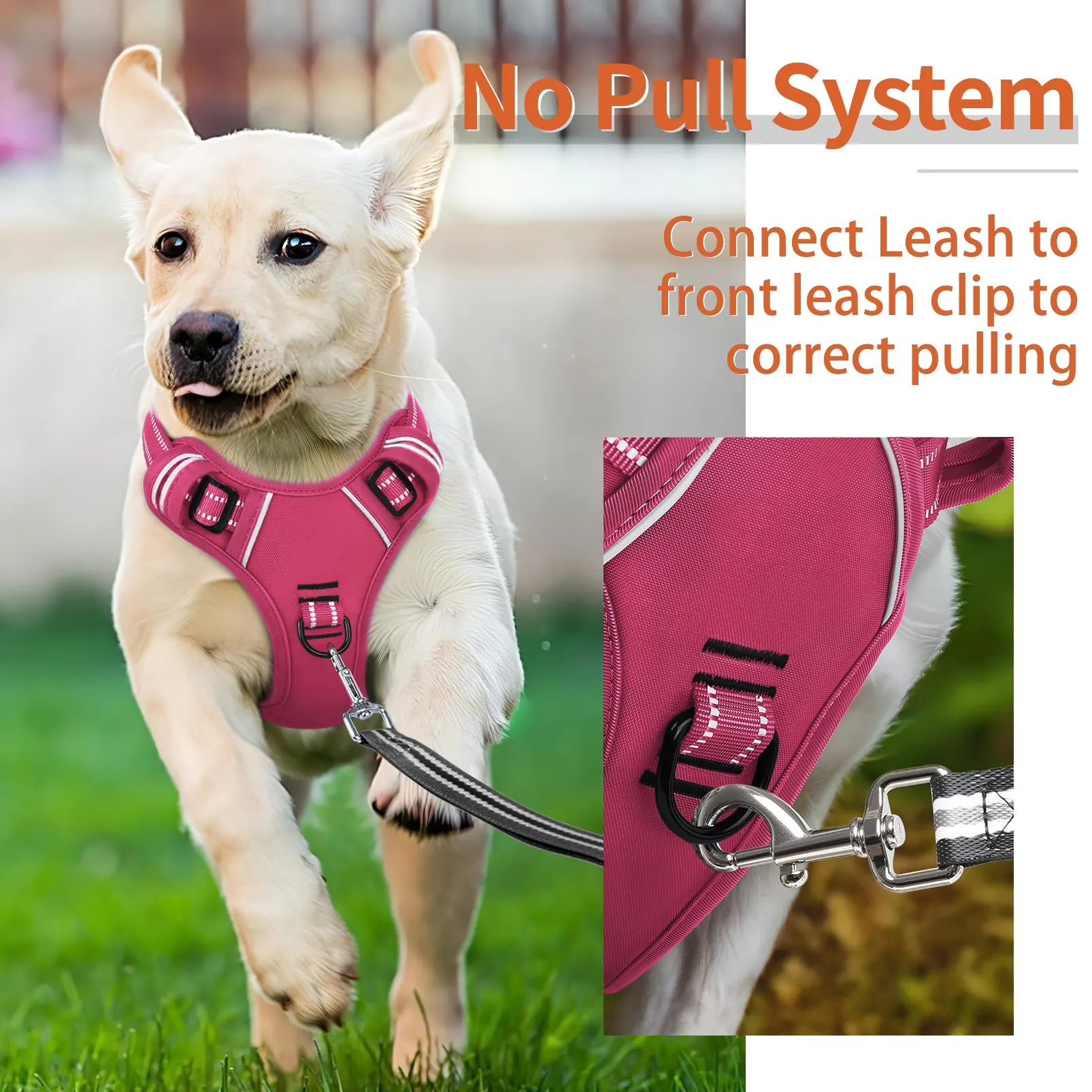 HEELE Pettorina Cane Riflettente Pettorina Addestramento Cani No Pull con 2 Ganci in Metallo + Comodo Maniglia, Gilet per Cani Regolabile per Camminare, Rosa Rifiniture Abbinate, L - immagine 5