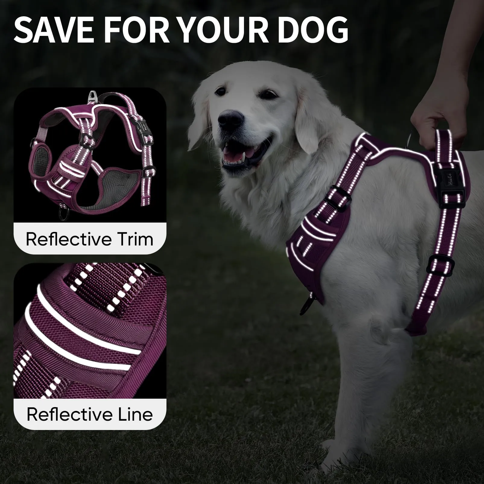 HEELE Pettorina Cane Riflettente Pettorina Addestramento Cani No Pull con 2 Ganci in Metallo + Comodo Maniglia, Gilet per Cani Regolabile per Camminare, Viola Rifiniture Abbinate, L - immagine 3