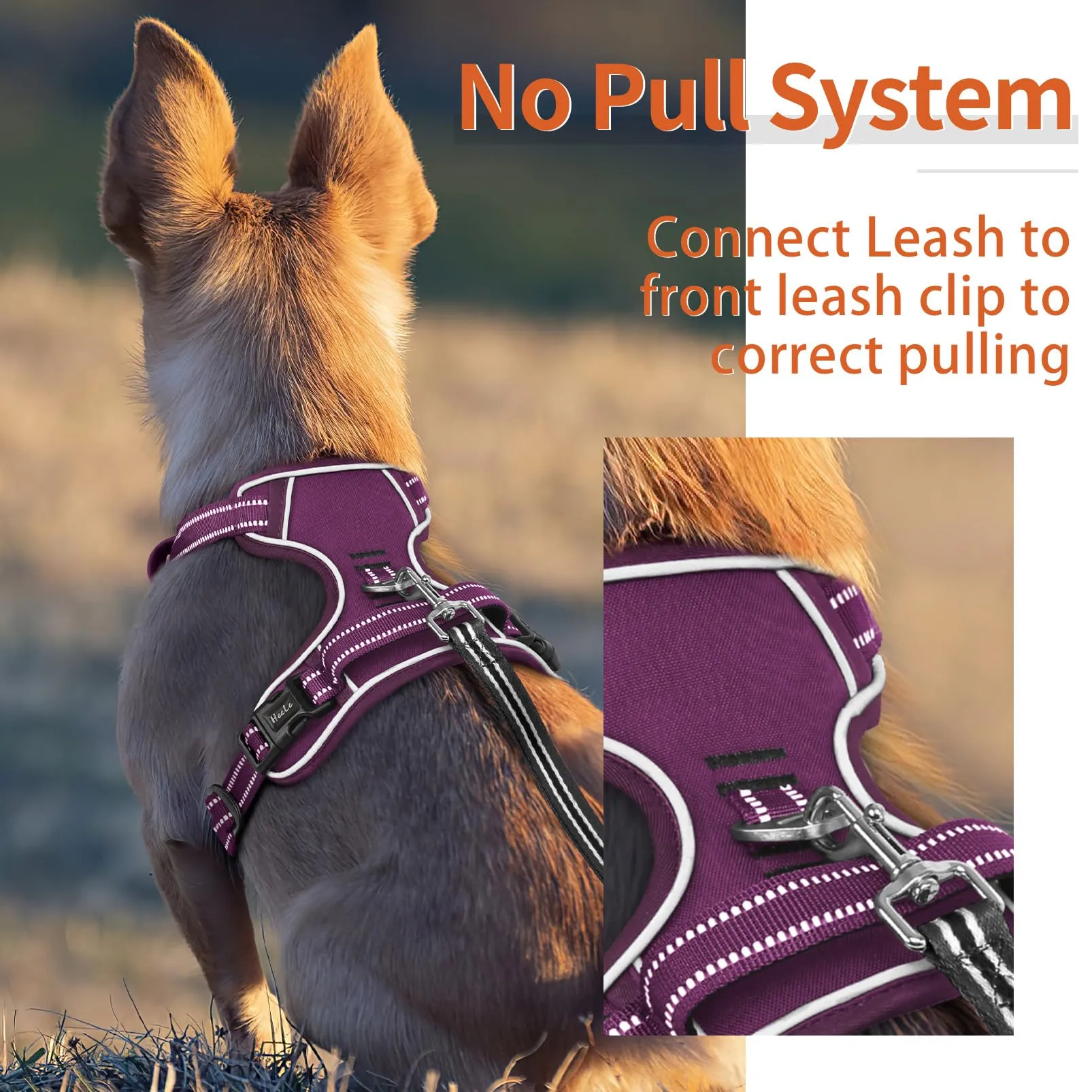 HEELE Pettorina Cane Riflettente Pettorina Addestramento Cani No Pull con 2 Ganci in Metallo + Comodo Maniglia, Gilet per Cani Regolabile per Camminare, Viola Rifiniture Abbinate, L - immagine 6