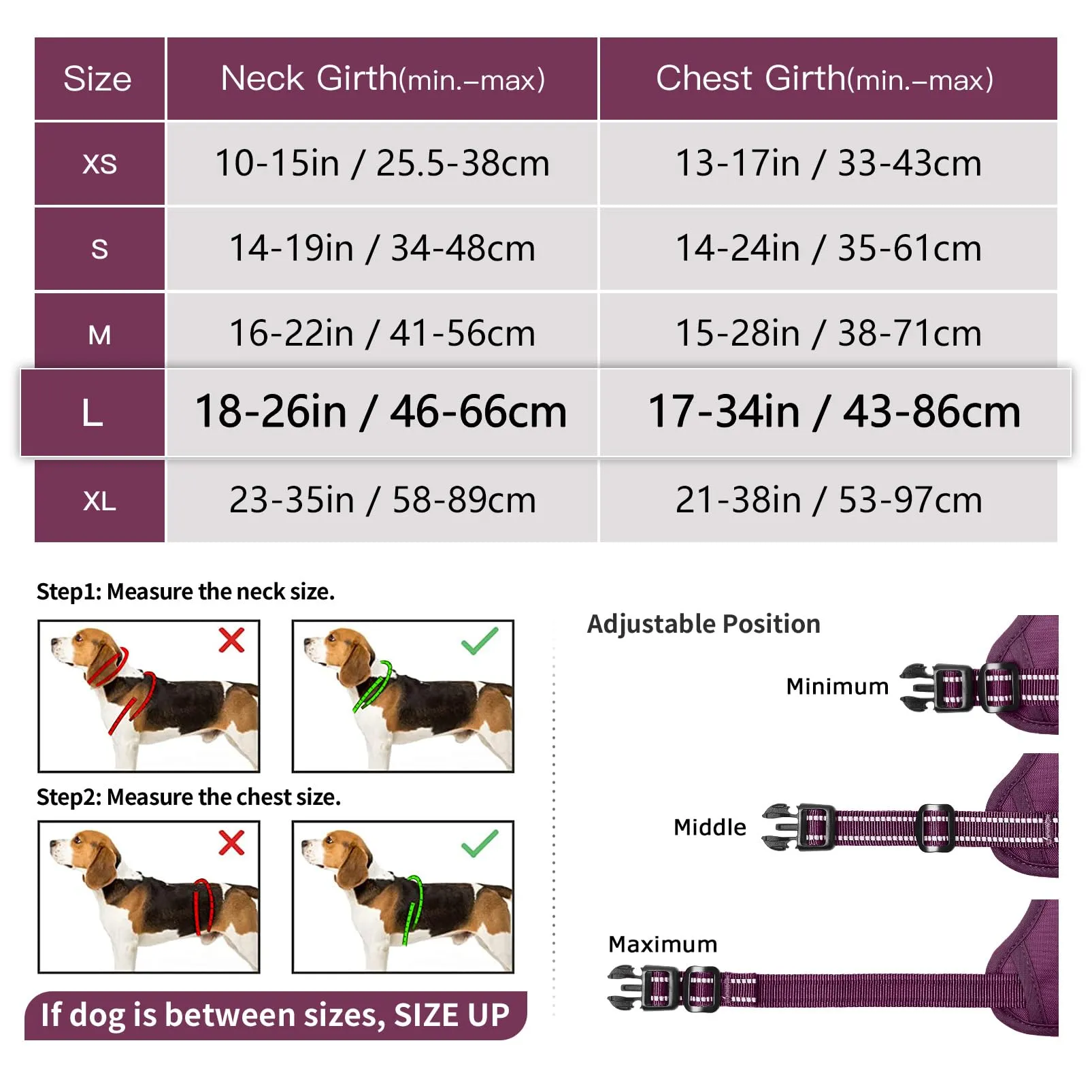 HEELE Pettorina Cane Riflettente Pettorina Addestramento Cani No Pull con 2 Ganci in Metallo + Comodo Maniglia, Gilet per Cani Regolabile per Camminare, Viola Rifiniture Abbinate, L - immagine 7