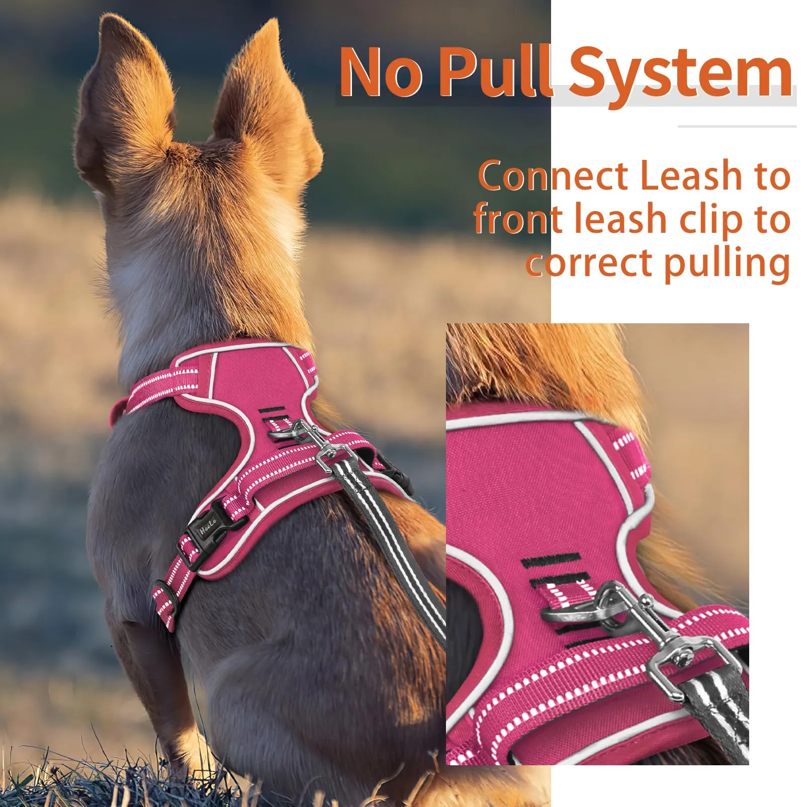 HEELE Pettorina Cane Riflettente Pettorina Addestramento Cani Anti Tiro con 2 Ganci in Metallo + Comodo Maniglia, Gilet per Cani Regolabile per Camminare, Rosa Rifiniture Abbinate, XL - immagine 6