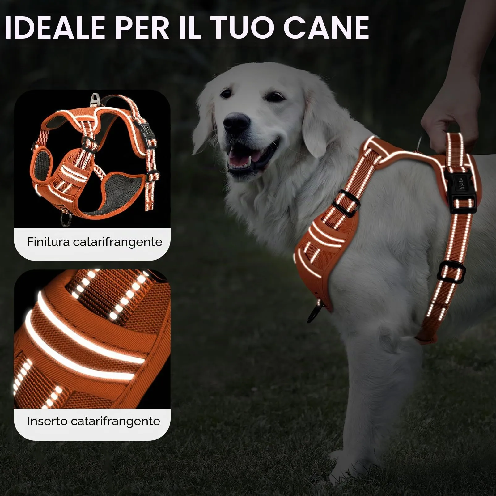 HEELE Pettorina Cane Taglia Media Riflettente Pettorina Addestramento Cani Anti Tiro con 2 Ganci in Metallo + Comodo Maniglia, Gilet per Cani Regolabile per Camminare, Zucca Arancione, M - immagine 3