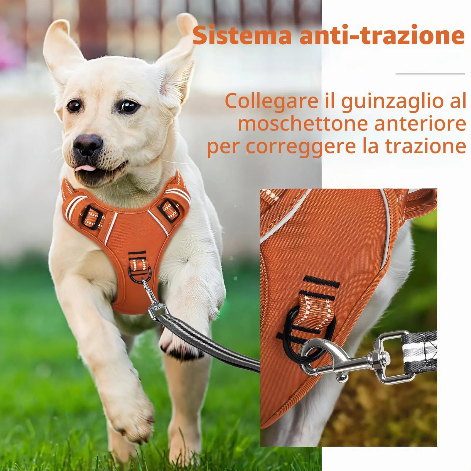 HEELE Pettorina Cane Taglia Media Riflettente Pettorina Addestramento Cani Anti Tiro con 2 Ganci in Metallo + Comodo Maniglia, Gilet per Cani Regolabile per Camminare, Zucca Arancione, M - immagine 5