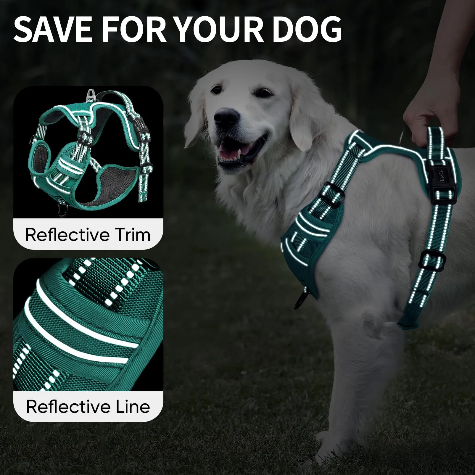 HEELE Pettorina Cane Taglia Piccola Riflettente Pettorina Addestramento Cani Anti Tiro con 2 Ganci in Metallo + Comodo Maniglia, Gilet per Cani Regolabile per Camminare, Verde Erba, S - immagine 3