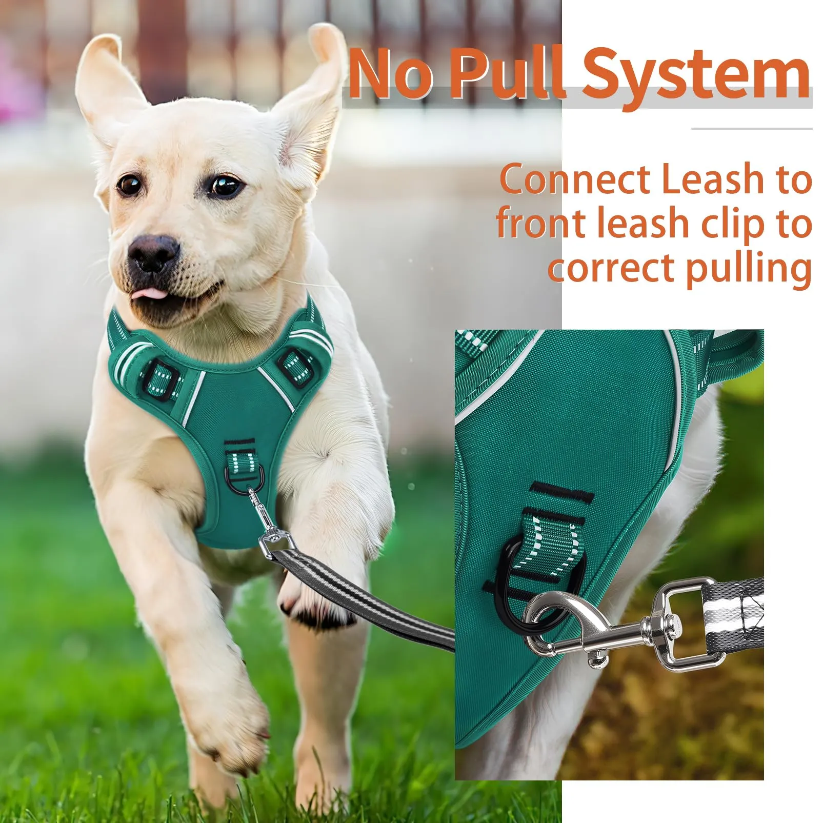 HEELE Pettorina Cane Taglia Piccola Riflettente Pettorina Addestramento Cani Anti Tiro con 2 Ganci in Metallo + Comodo Maniglia, Gilet per Cani Regolabile per Camminare, Verde Erba, S - immagine 5