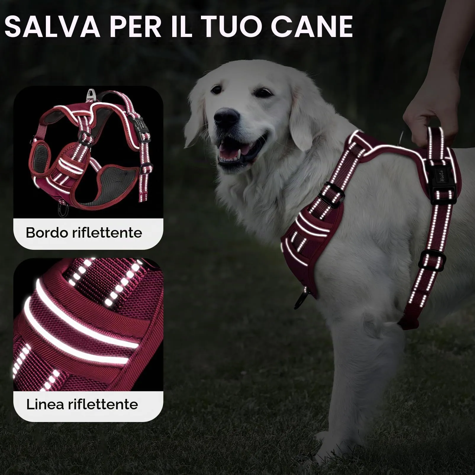 HEELE Pettorina Cane Taglia Media Riflettente Pettorina Addestramento Cani Anti Tiro con 2 Ganci in Metallo + Comodo Maniglia, Gilet per Cani Regolabile per Camminare, Rosso Borgogna, M - immagine 3