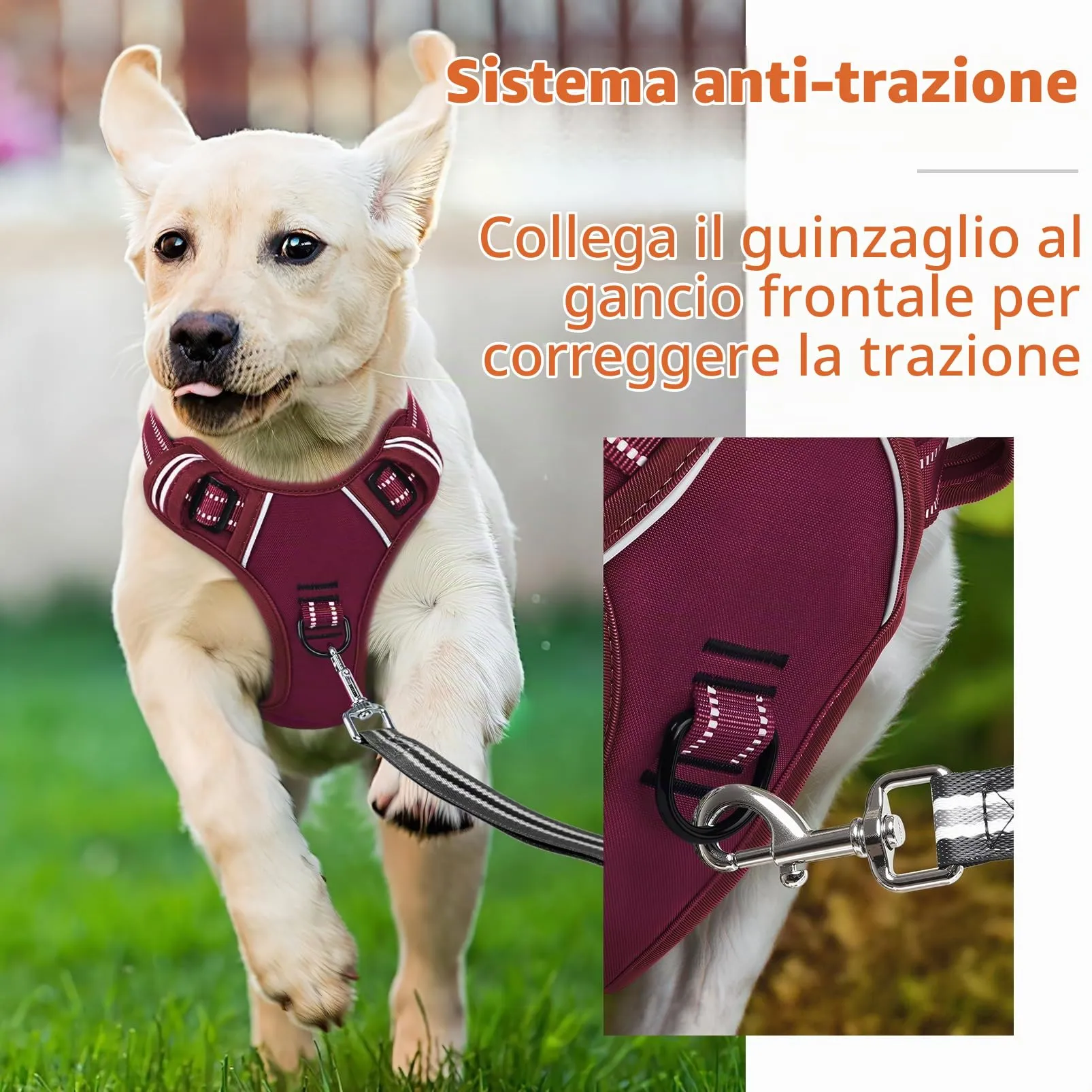 HEELE Pettorina Cane Taglia Media Riflettente Pettorina Addestramento Cani Anti Tiro con 2 Ganci in Metallo + Comodo Maniglia, Gilet per Cani Regolabile per Camminare, Rosso Borgogna, M - immagine 5