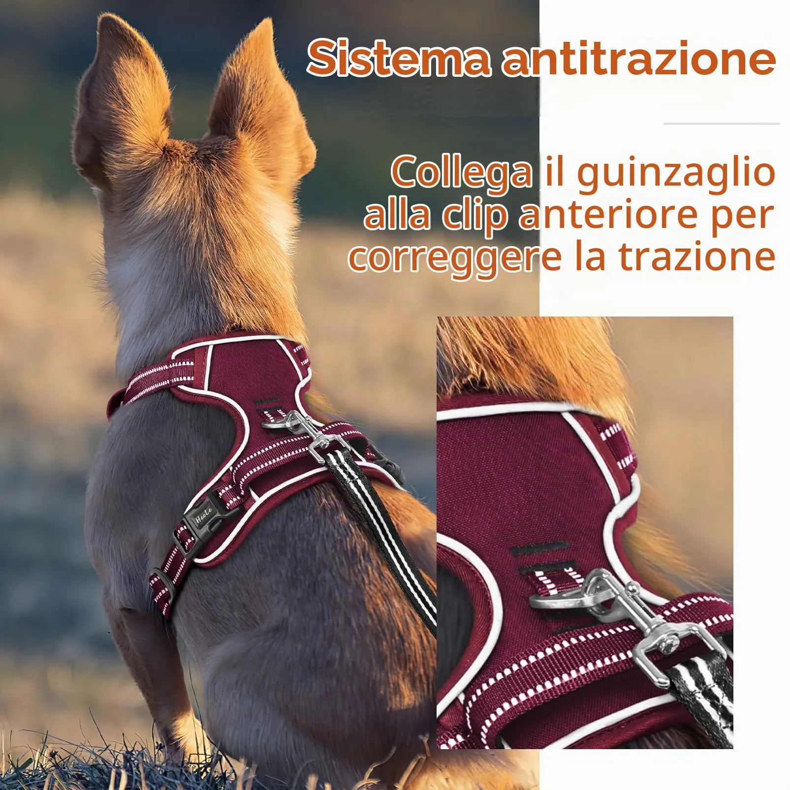 HEELE Pettorina Cane Taglia Media Riflettente Pettorina Addestramento Cani Anti Tiro con 2 Ganci in Metallo + Comodo Maniglia, Gilet per Cani Regolabile per Camminare, Rosso Borgogna, M - immagine 6