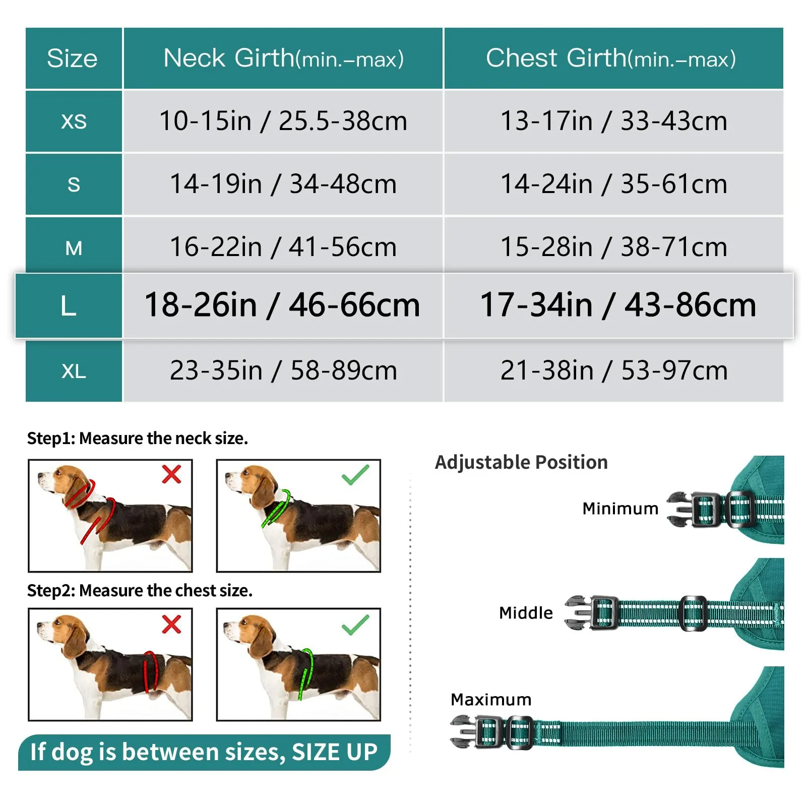 HEELE Pettorina Cane Taglia Media e Grande Riflettente Pettorina Addestramento Cani No Pull con 2 Ganci in Metallo + Comodo Maniglia, Gilet per Cani Regolabile per Camminare, Verde Erba, L - immagine 7