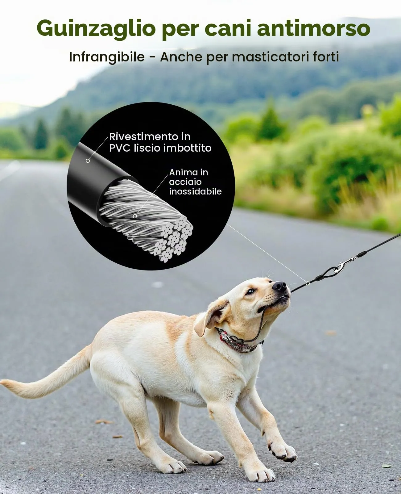 Pecute Guinzaglio per Cani Allungabile 5 metri con Corda Anti-morso da 46cm - immagine 4