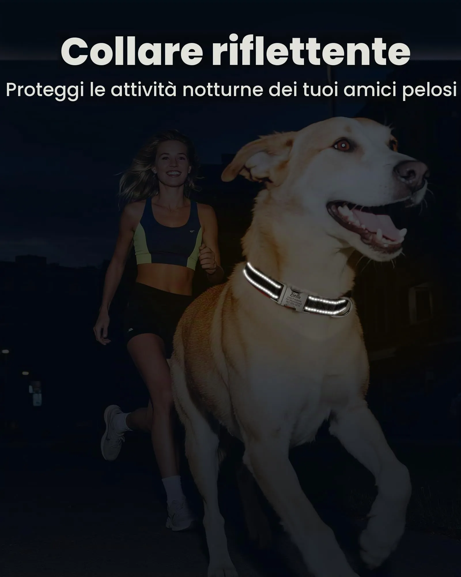 Collare personalizzato per cani - Regolabile e riflettente, in nylon resistente con incisione laser del nome, indirizzo e numero di telefono, adatto a cani e gatti di taglia piccola, media e grande - immagine 3