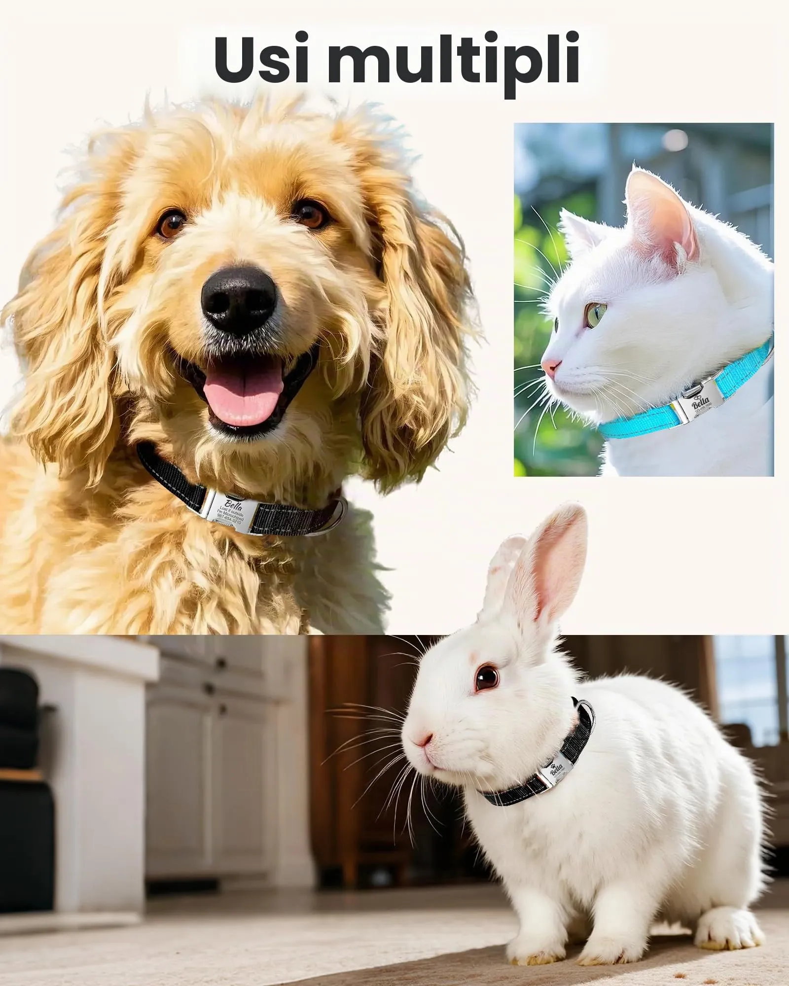 Collare personalizzato per cani - Regolabile e riflettente, in nylon resistente con incisione laser del nome, indirizzo e numero di telefono, adatto a cani e gatti di taglia piccola, media e grande - immagine 5