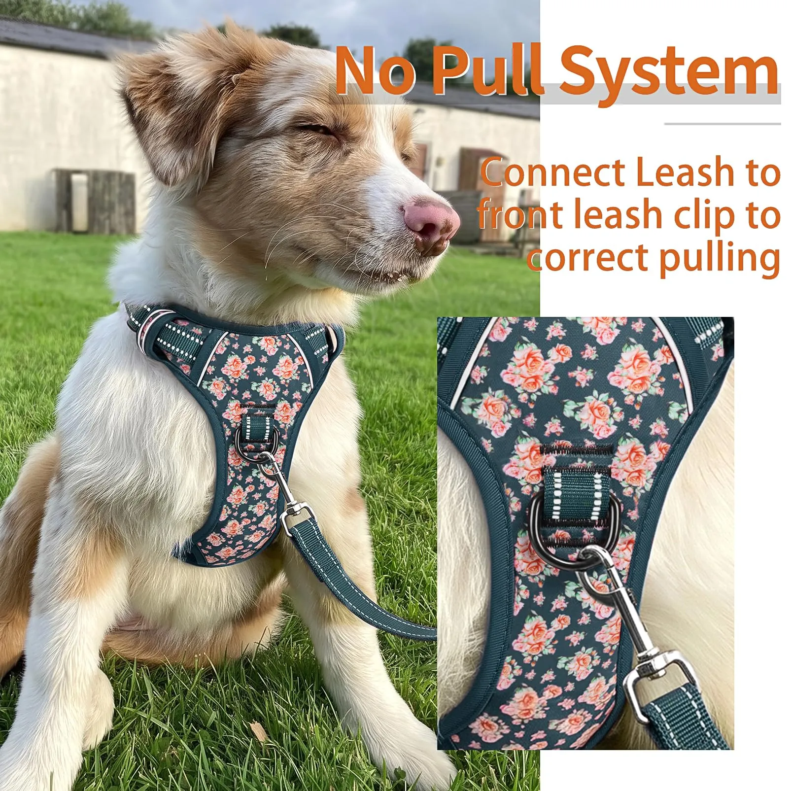 HEELE Pettorina Cane Regolabile No-pull con Manico, Fiori-Verde Nerastro, S - immagine 3