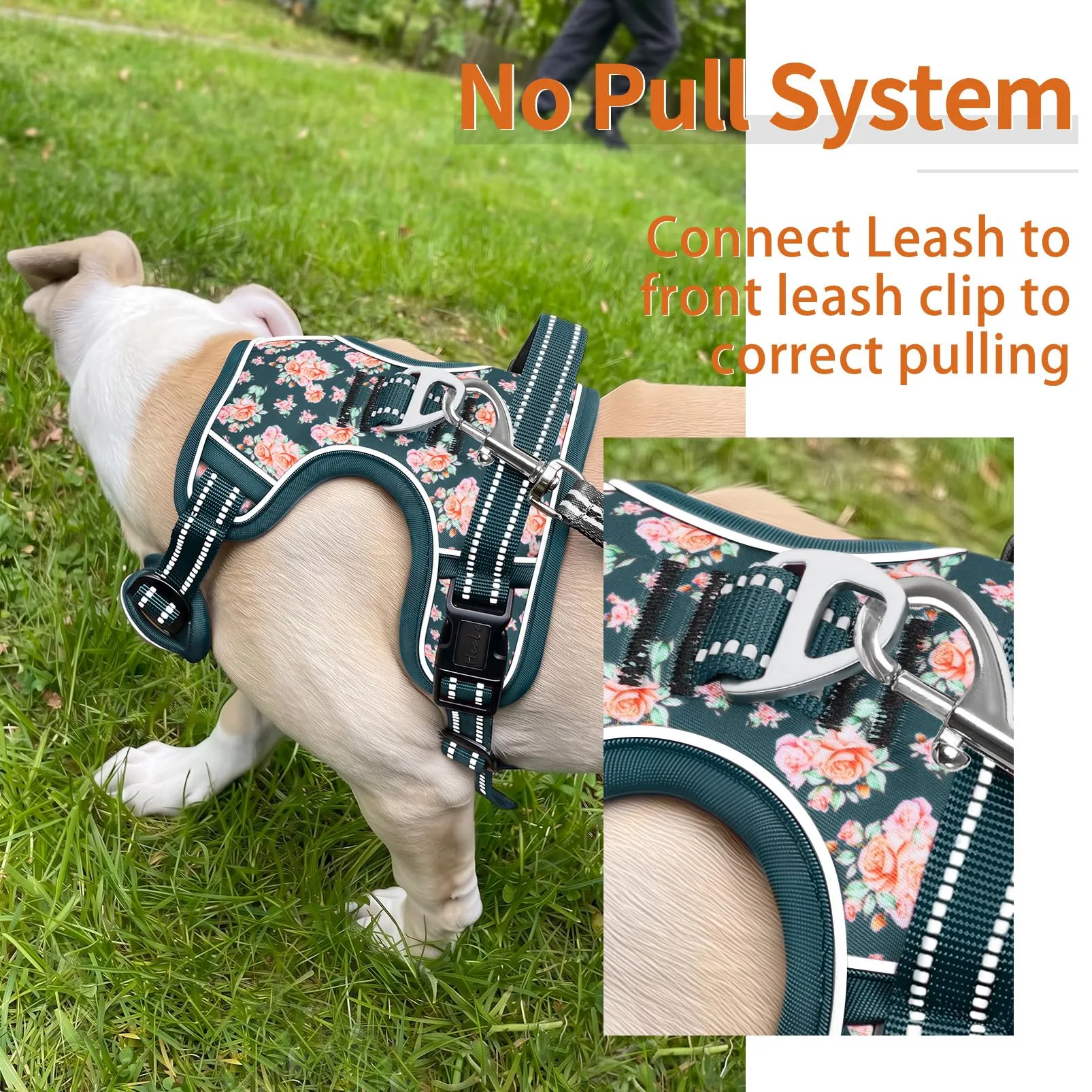 HEELE Pettorina Cane Regolabile No-pull con Manico, Fiori-Verde Nerastro, L - immagine 6