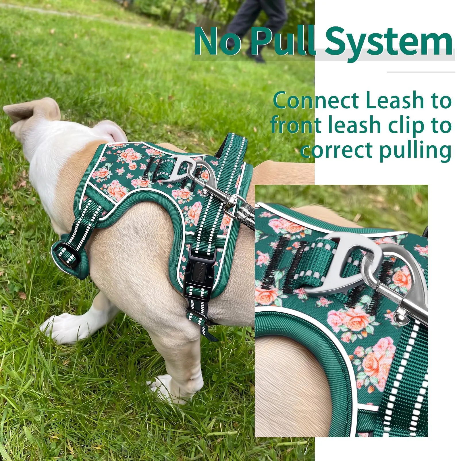 HEELE Pettorina Cane Riflettente No-pull Regolabile, Fiori-Verde Erba, XL - immagine 5