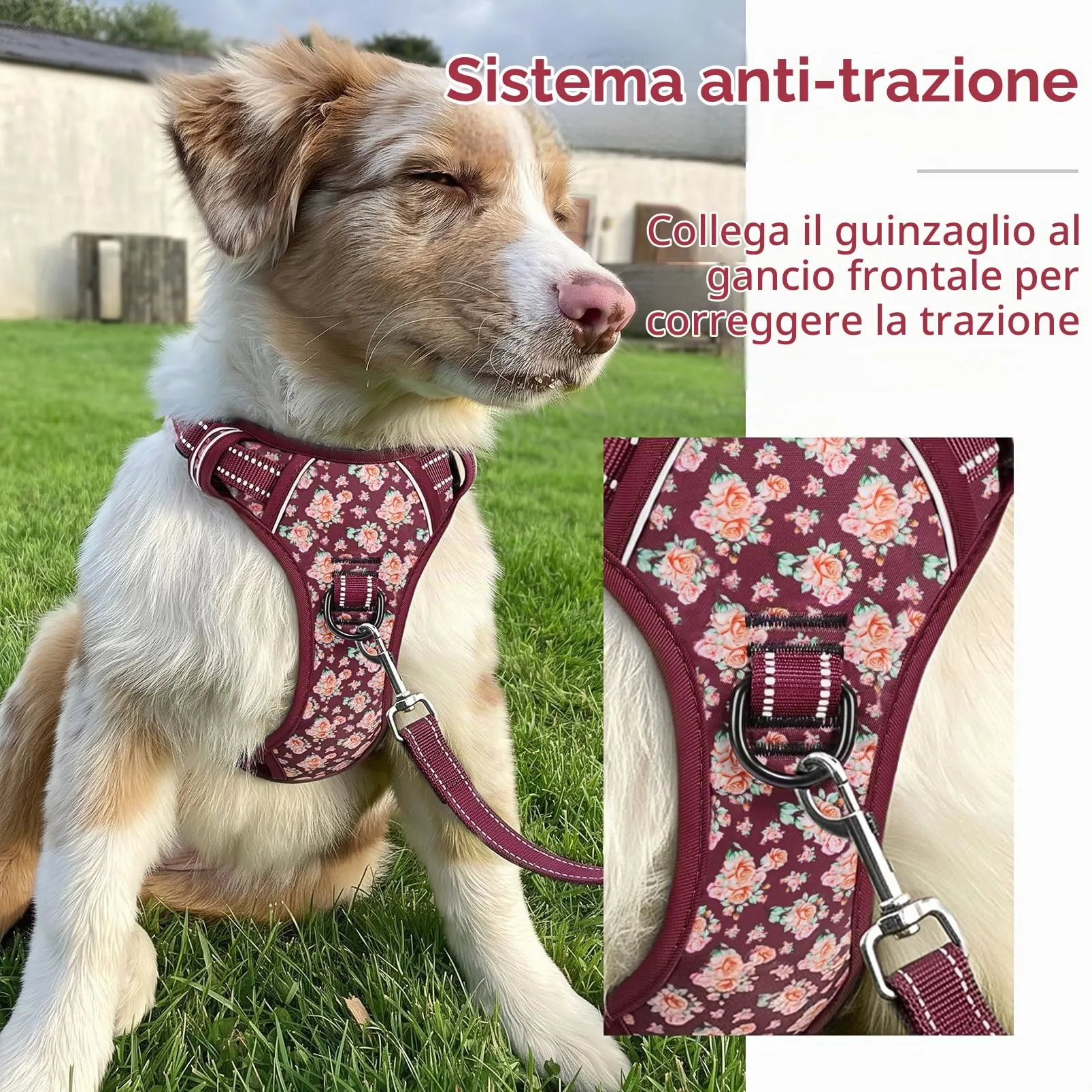 HEELE Pettorina Cane Regolabile No-pull con Manico, Fiori-Rosso Borgogna, M - immagine 4