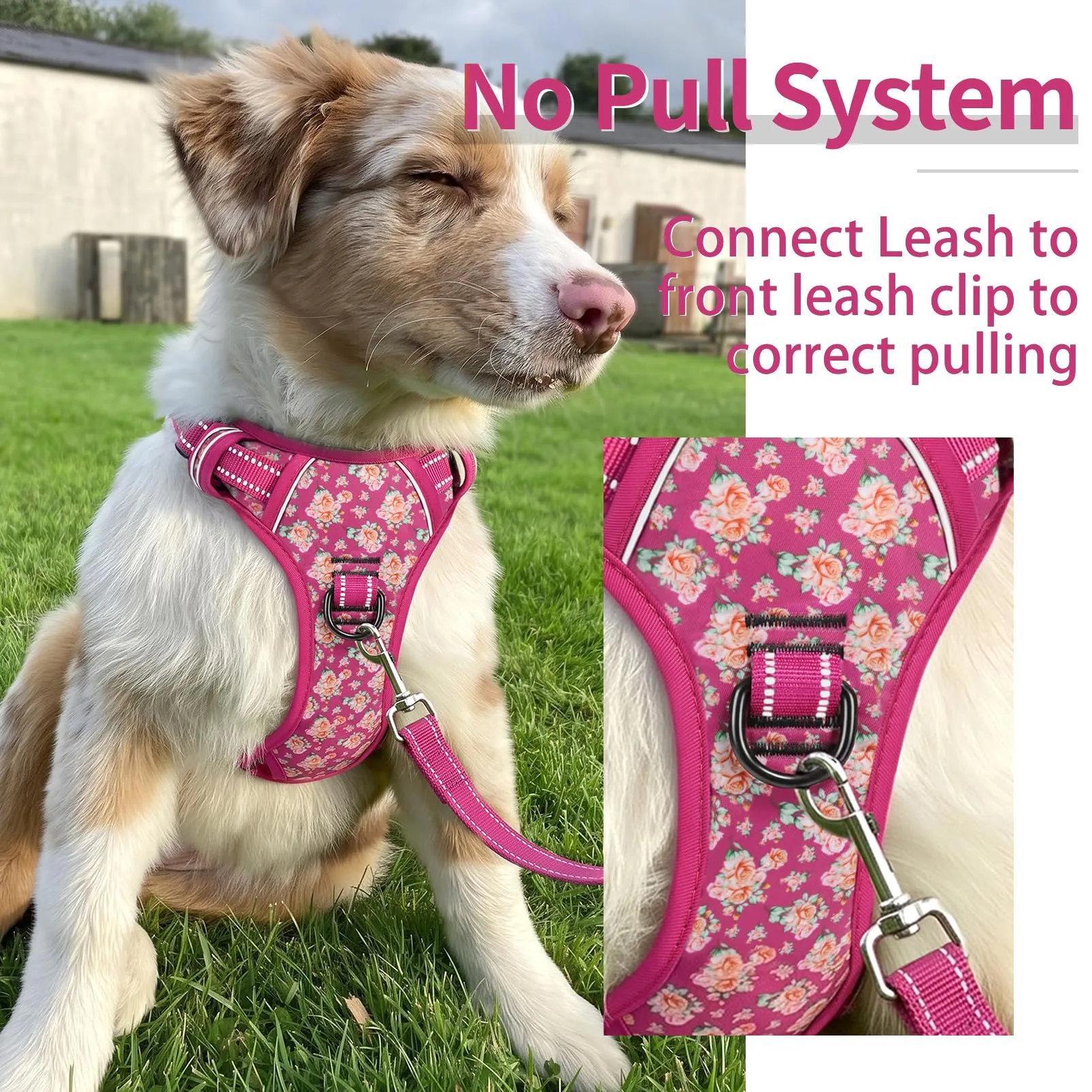 HEELE Pettorina Cane Riflettente No-pull Regolabile, Fiori-Rosso Rosa, S - immagine 3